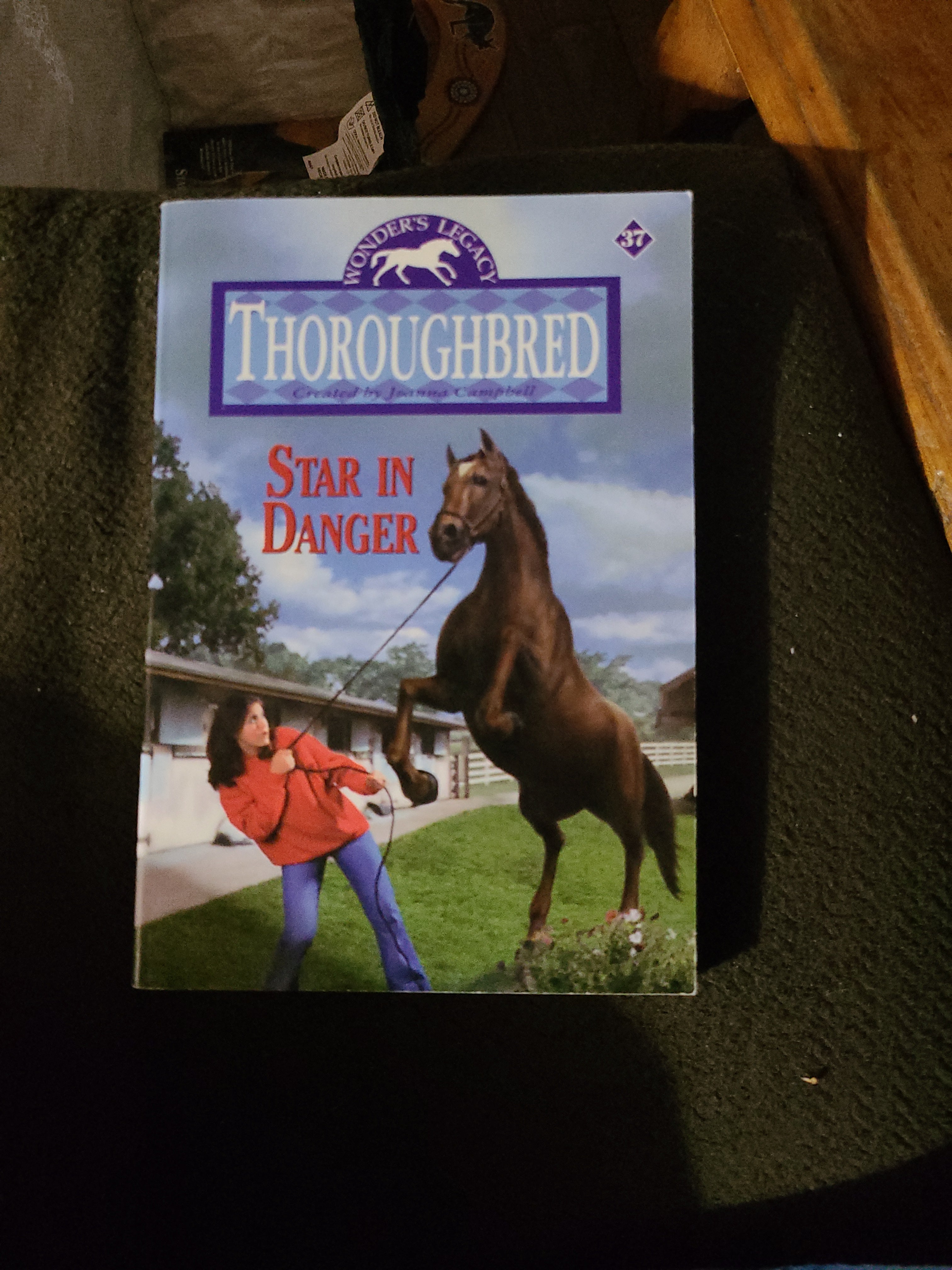 Thoroughbred #37: Star in Danger