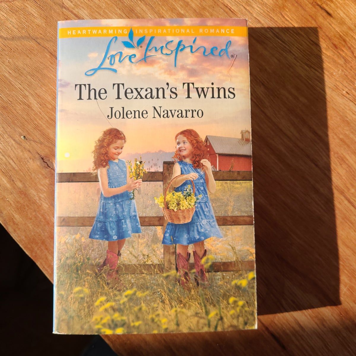 The Texan's Twins by Jolene Navarro, Paperback | Pango Books