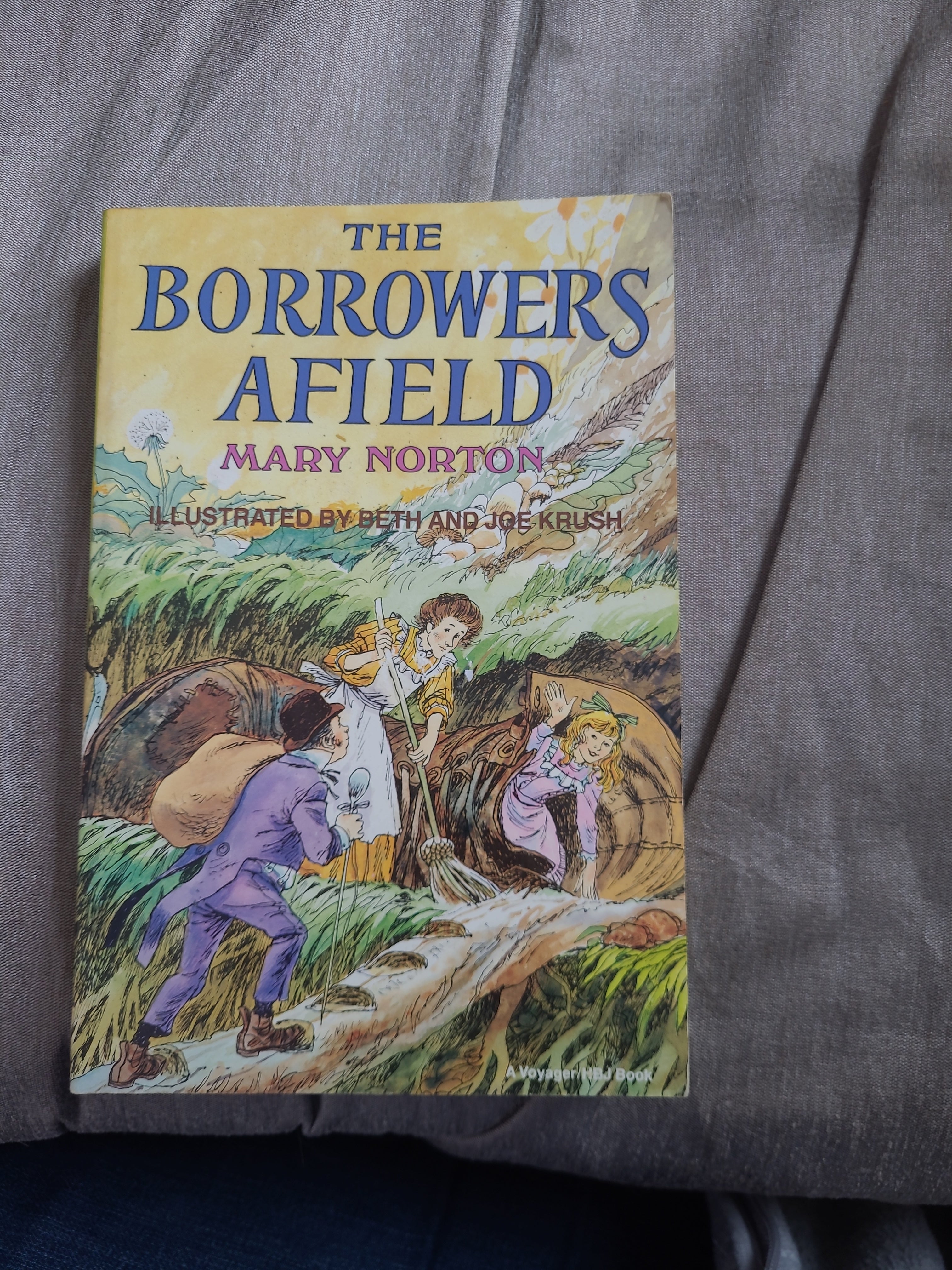 The Borrowers Afield