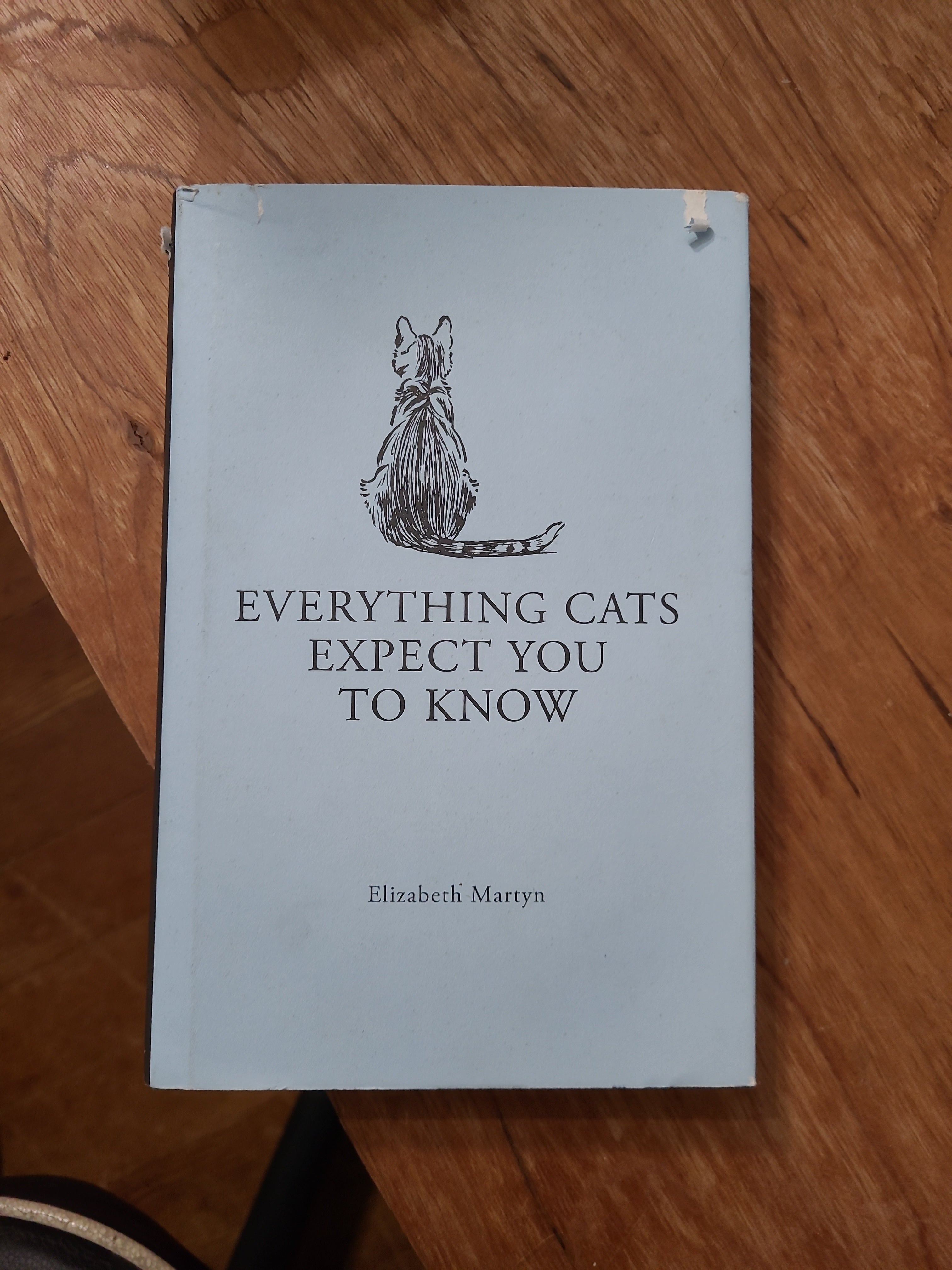 Everything Cats Expect You to Know