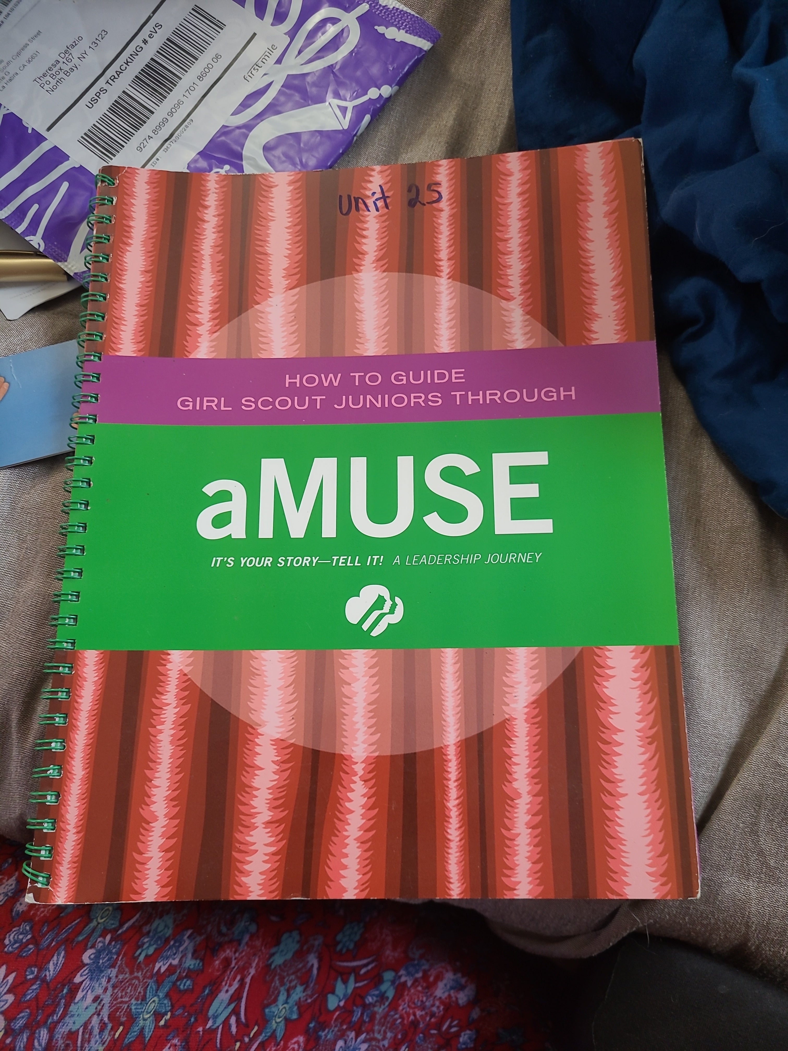 How to Guide Girl Scout Juniors Through AMUSE