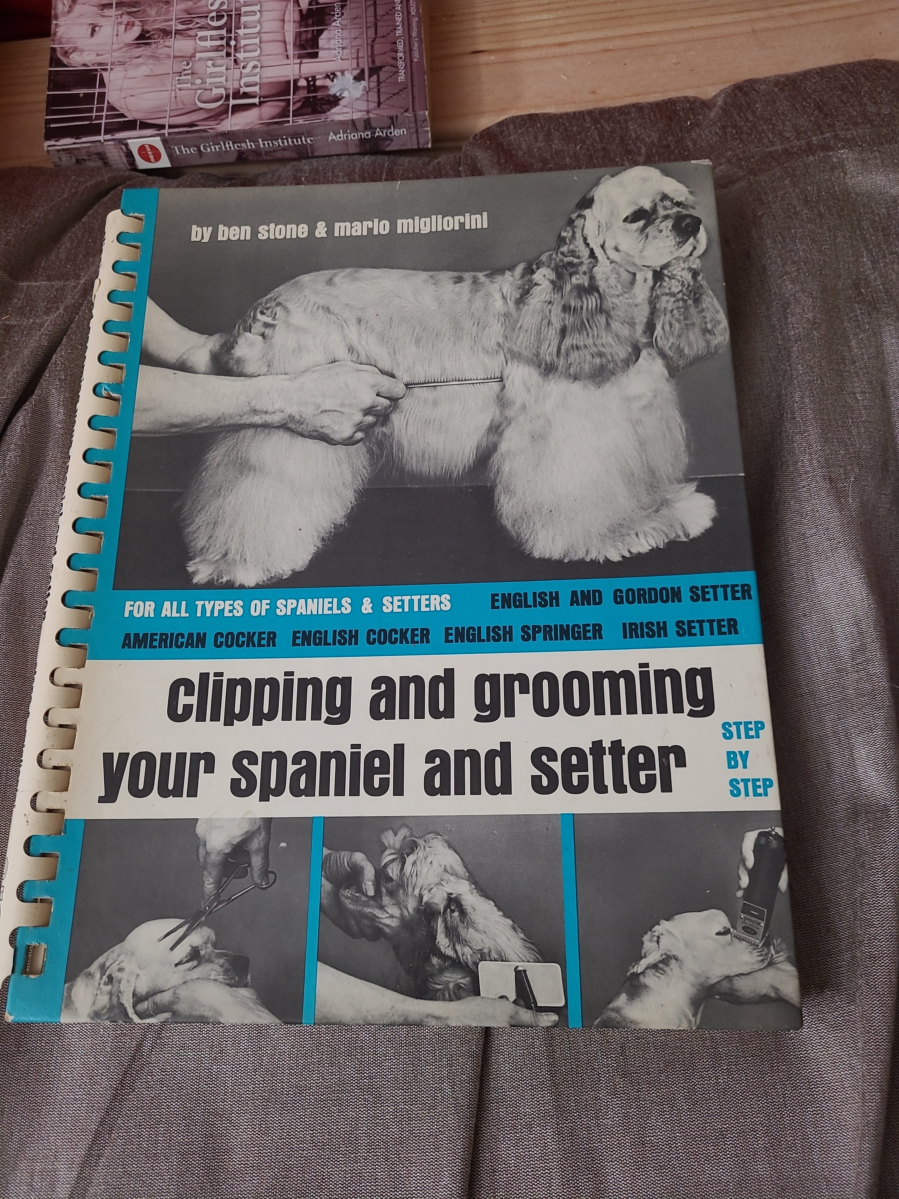 Clipping and Grooming Your Spaniel and Setter