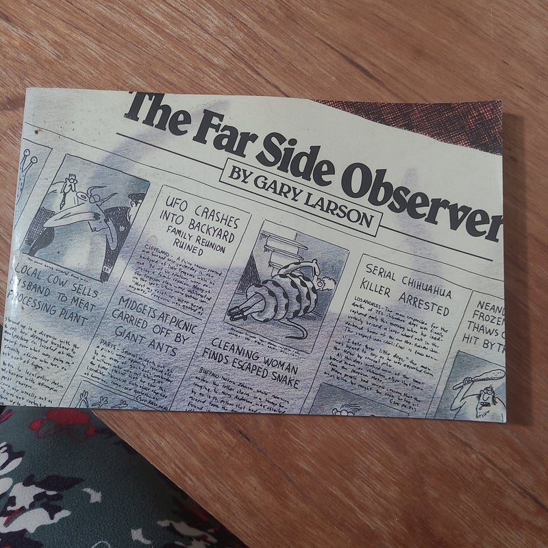 The Far Side Observer