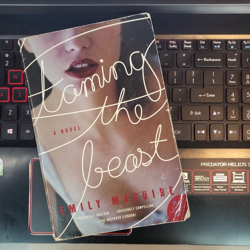 Taming the Beast