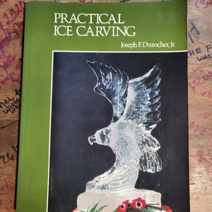 Practical Ice Carving