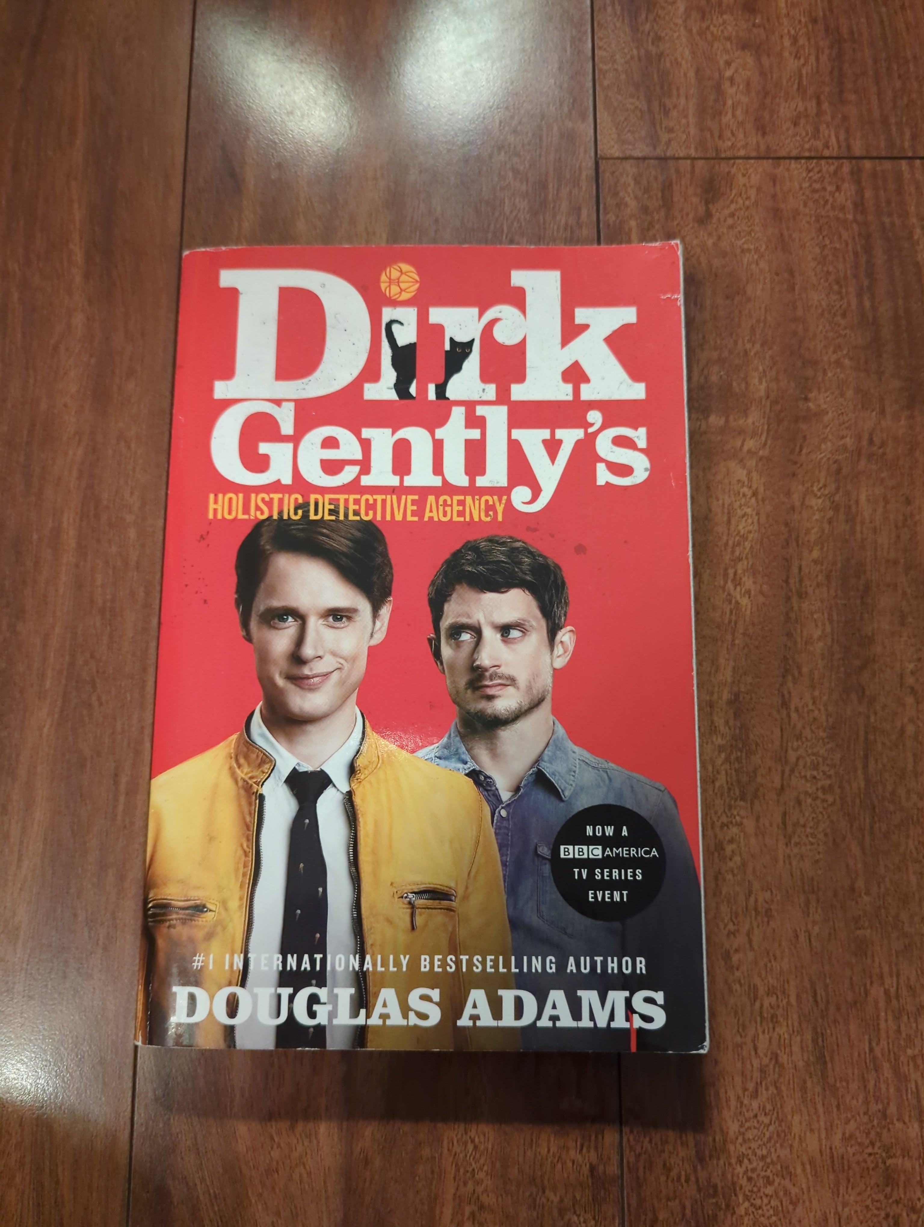 Dirk Gently's Holistic Detective Agency