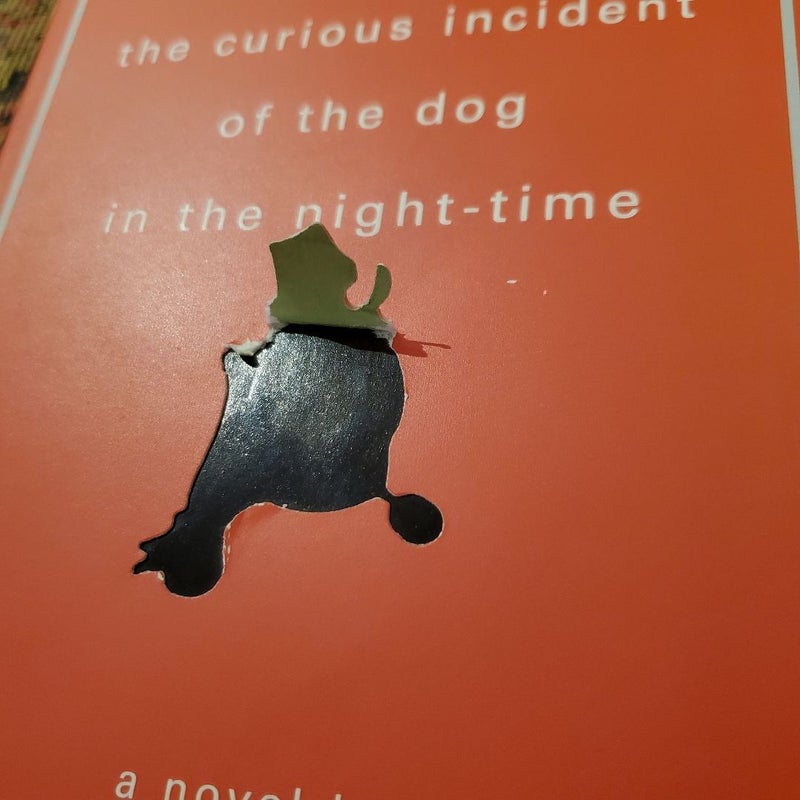 The Curious Incident of the Dog in the Night-Time