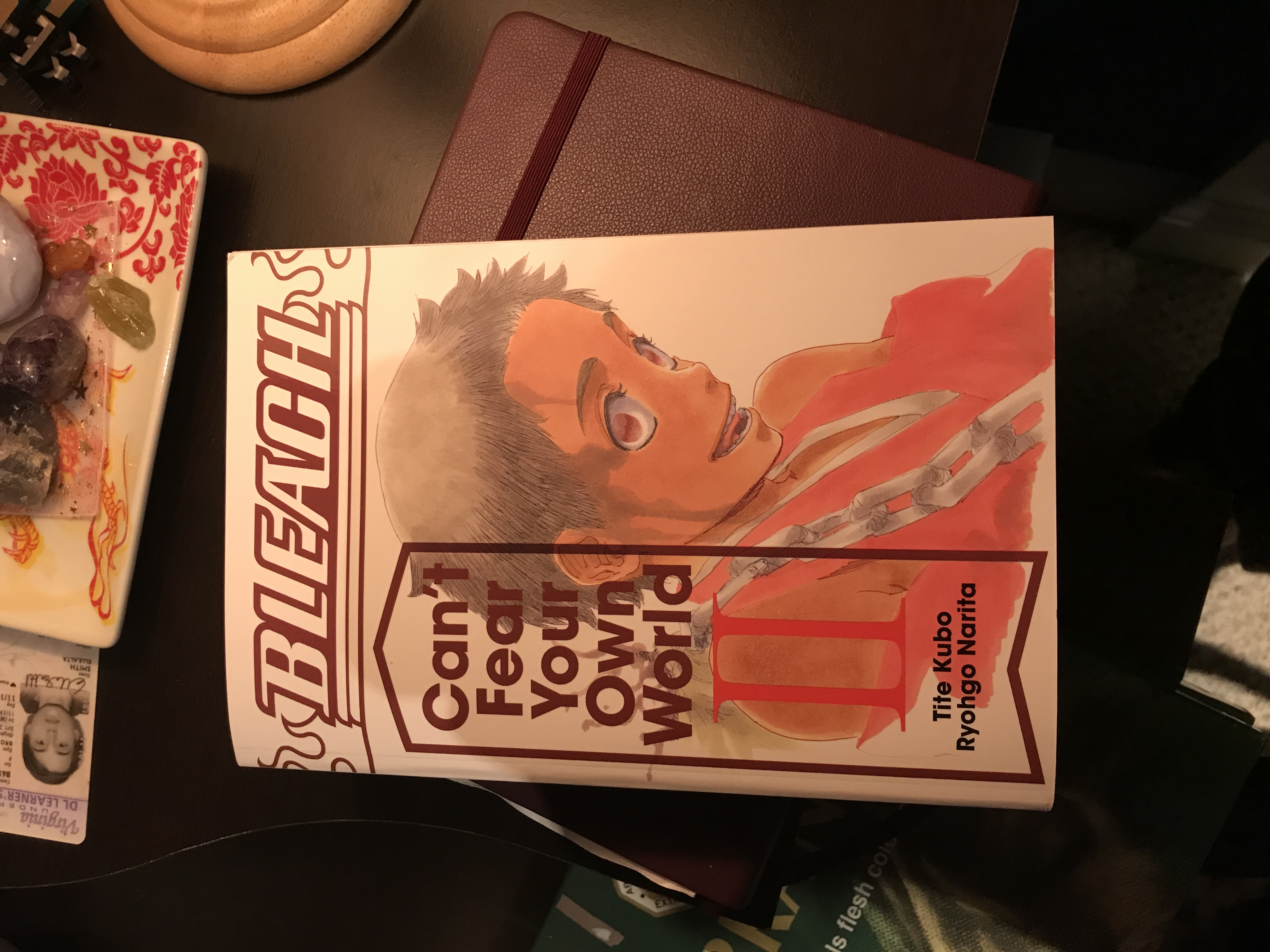 Bleach: Can't Fear Your Own World, Vol. 2