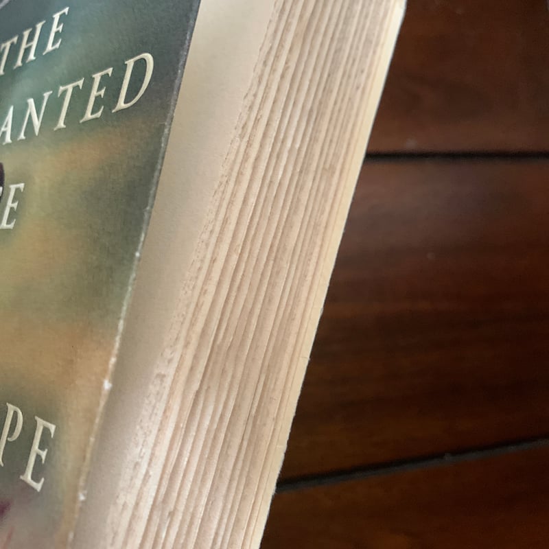 The Enchanted Life of Adam Hope by Rhonda Riley, Paperback | Pango Books