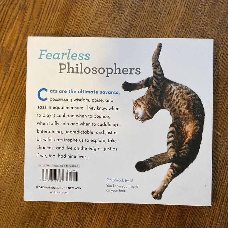 Really Important Stuff My Cat Has Taught Me