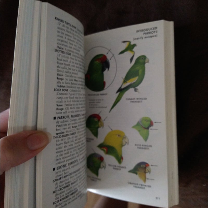 Petersons Field Guide to Western Birds