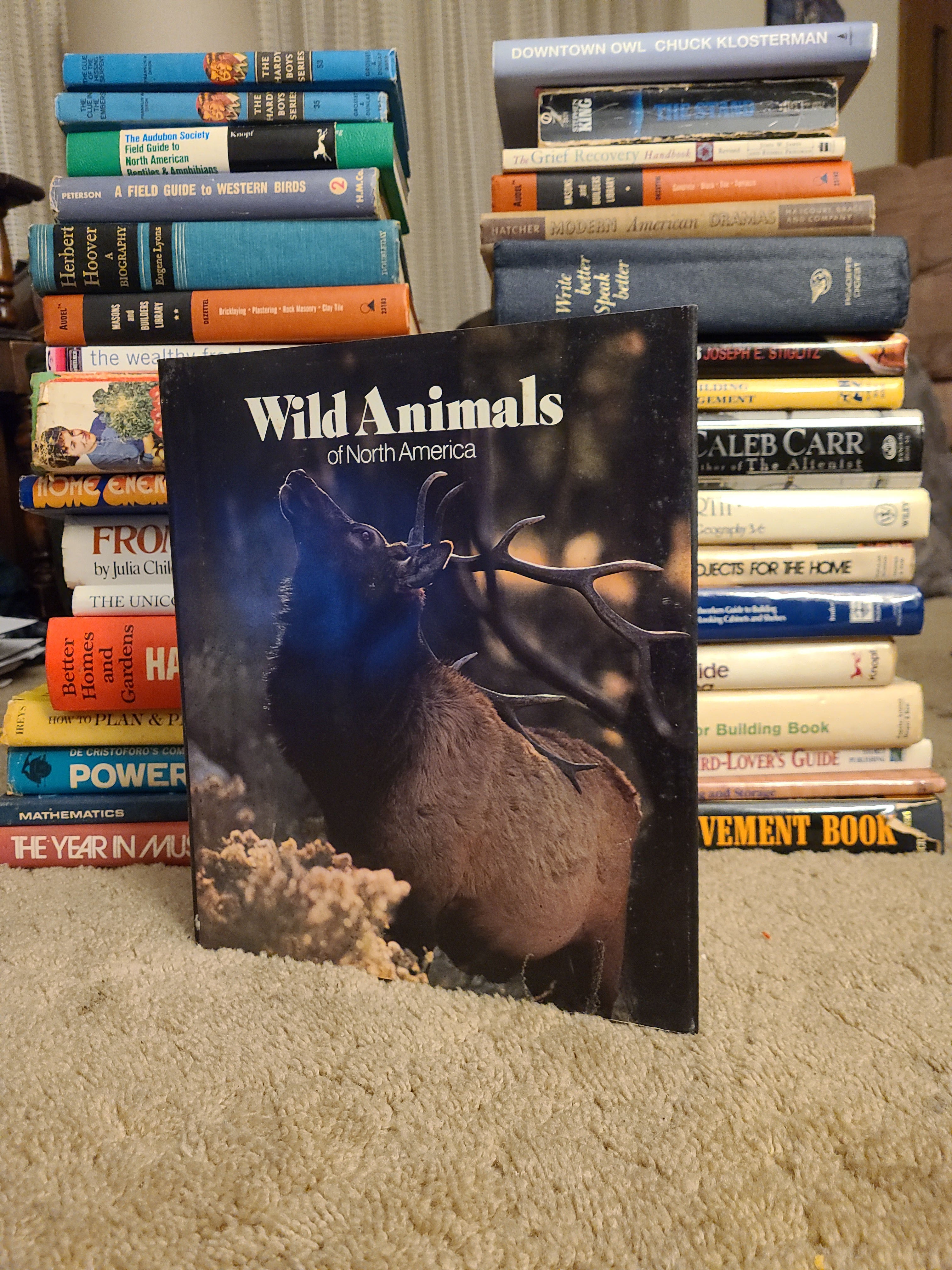 Wild Animals of North America