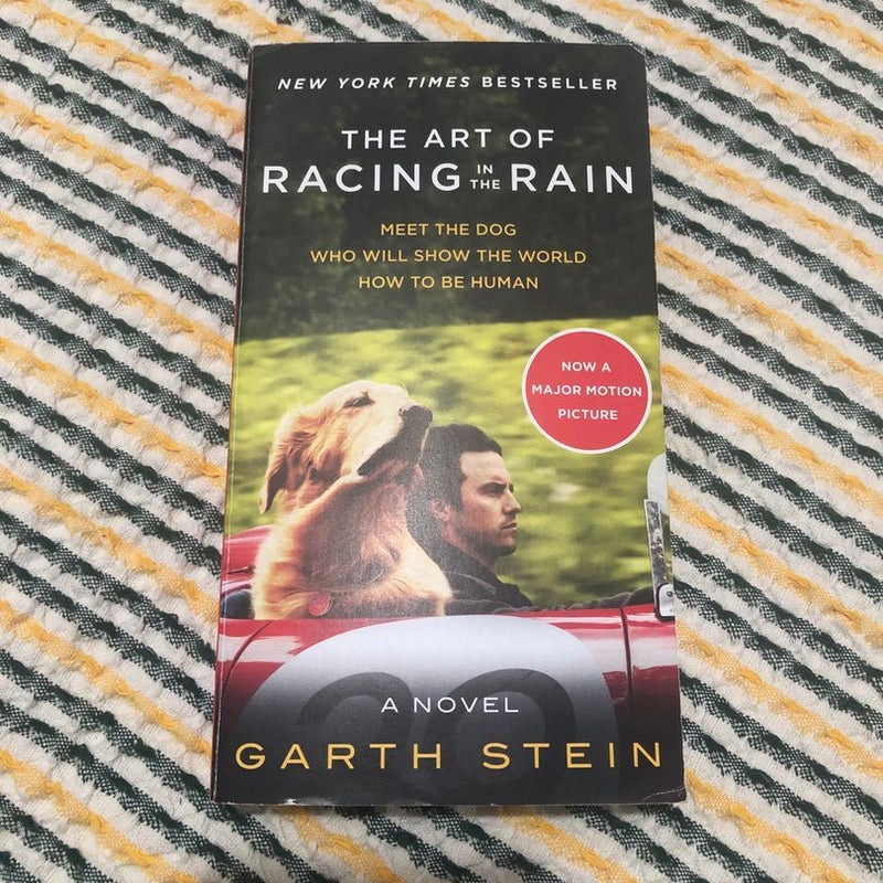 The Art of Racing in the Rain Movie Tie-In Edition