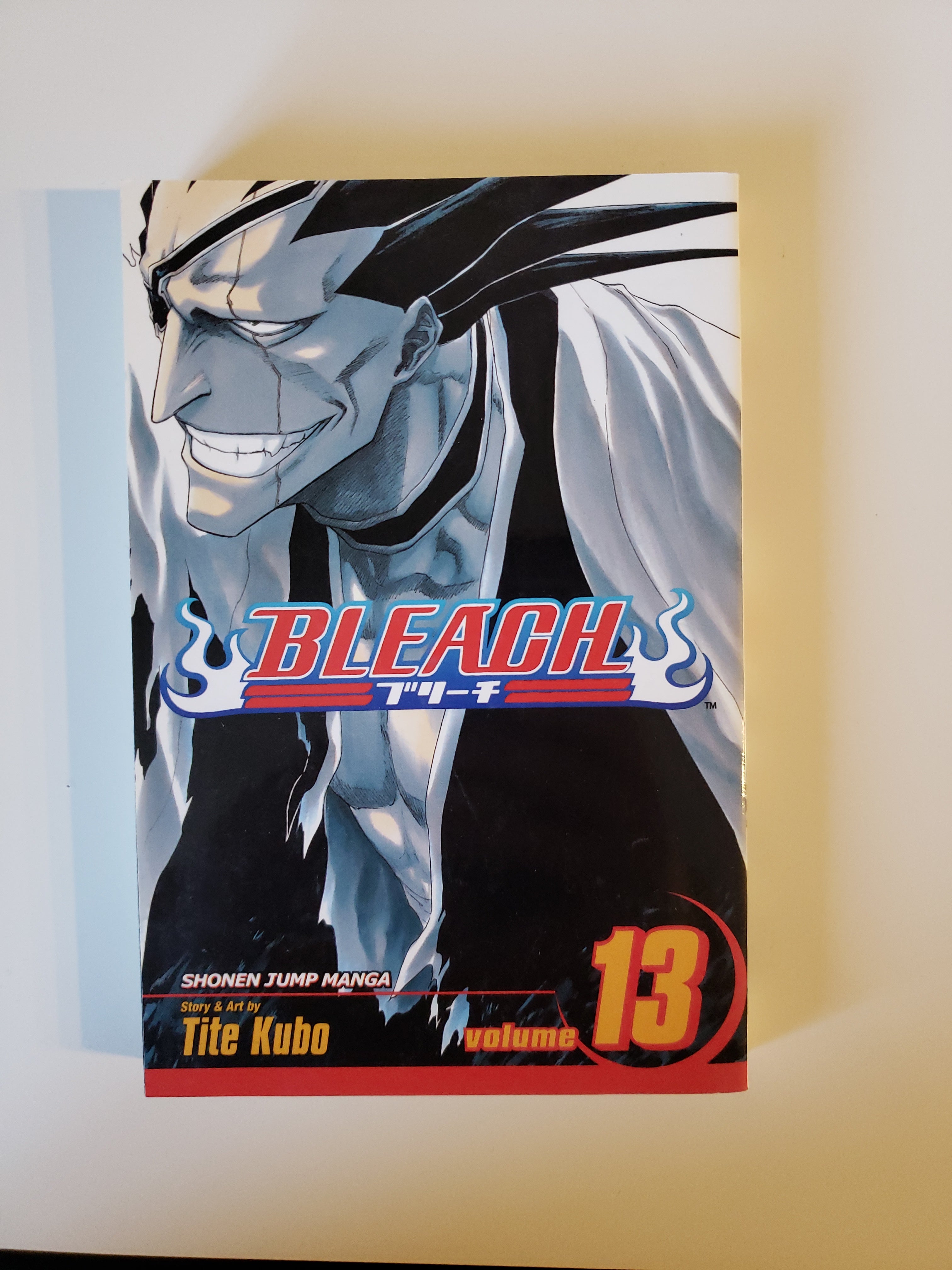 Bleach, Vol. 13