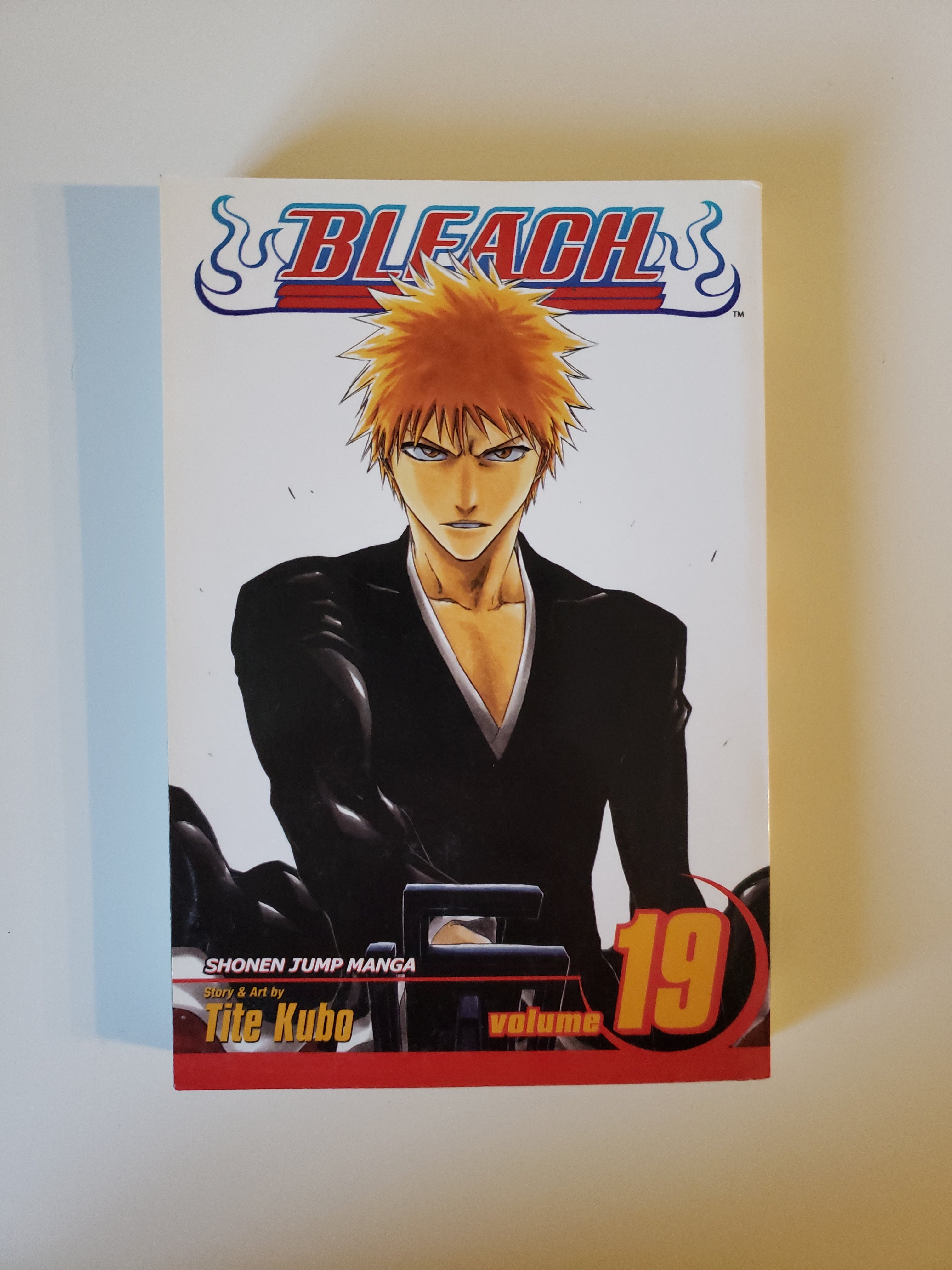 Bleach, Vol. 19