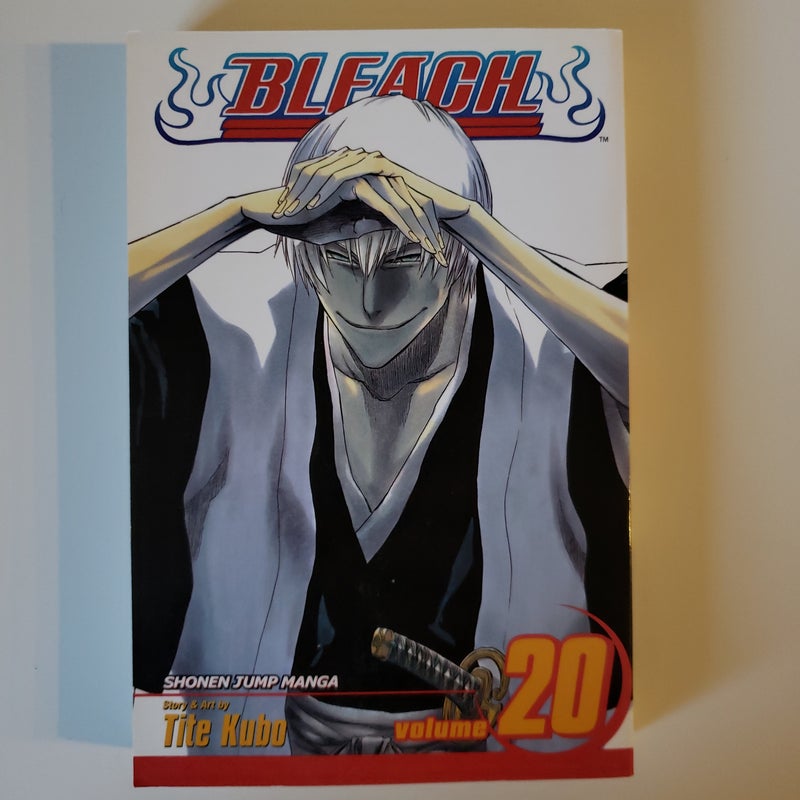 Bleach, Vol. 20