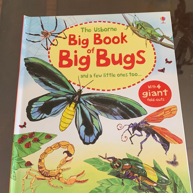 Big Book of Big Bugs