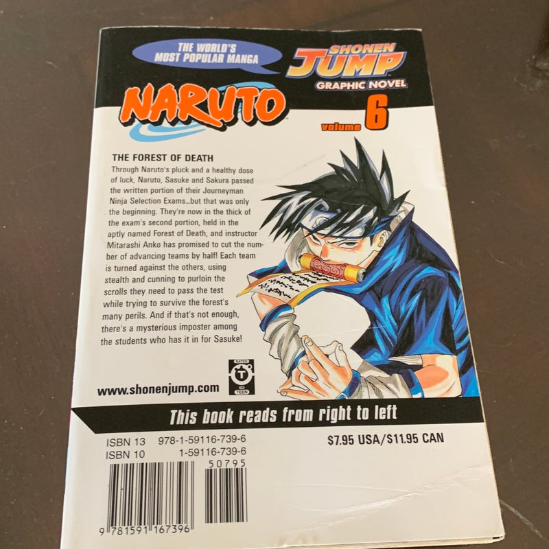 Naruto, Vol. 6