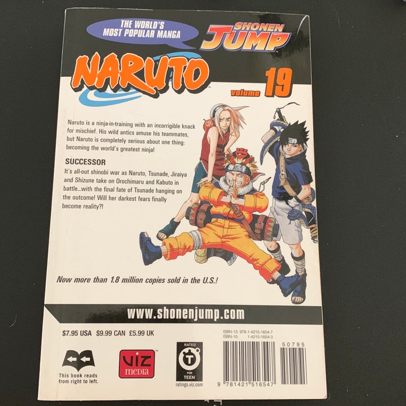 Naruto, Vol. 19