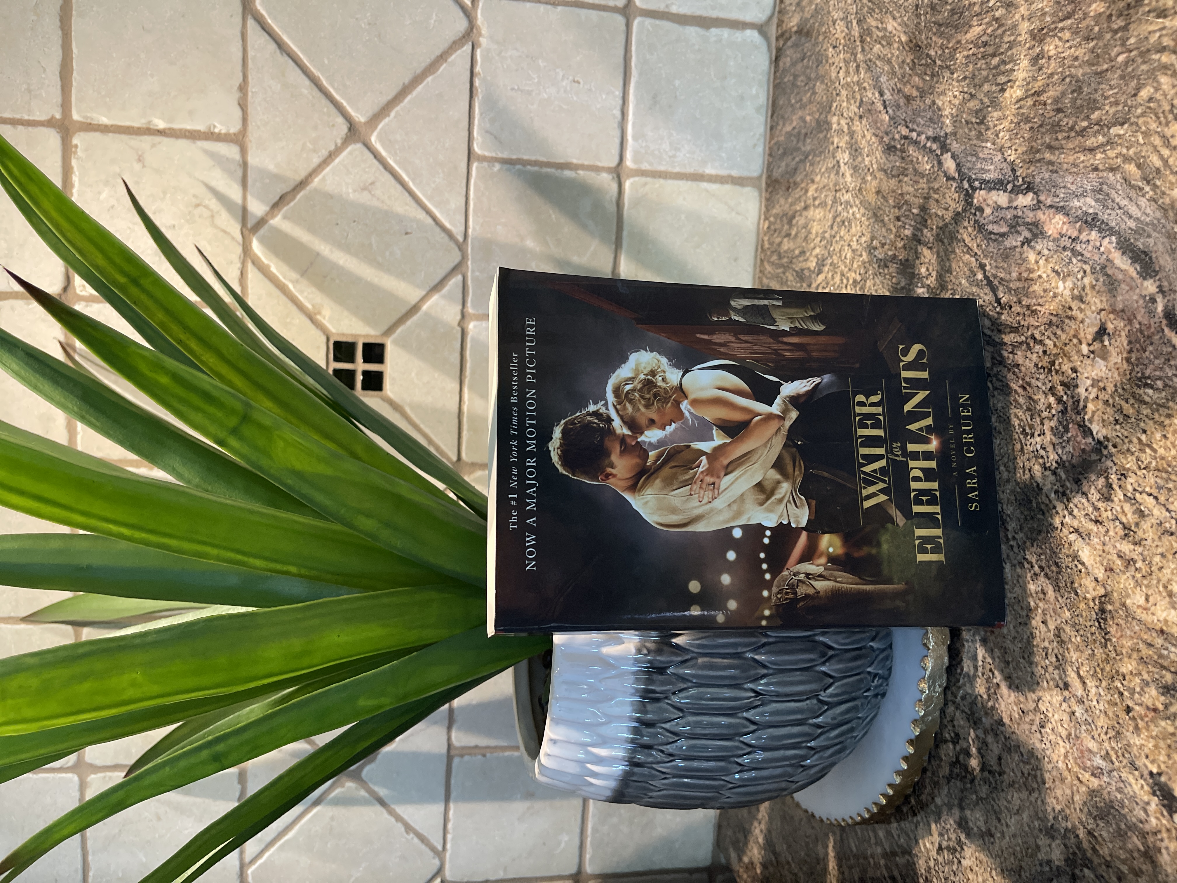 Water for Elephants 🐘 