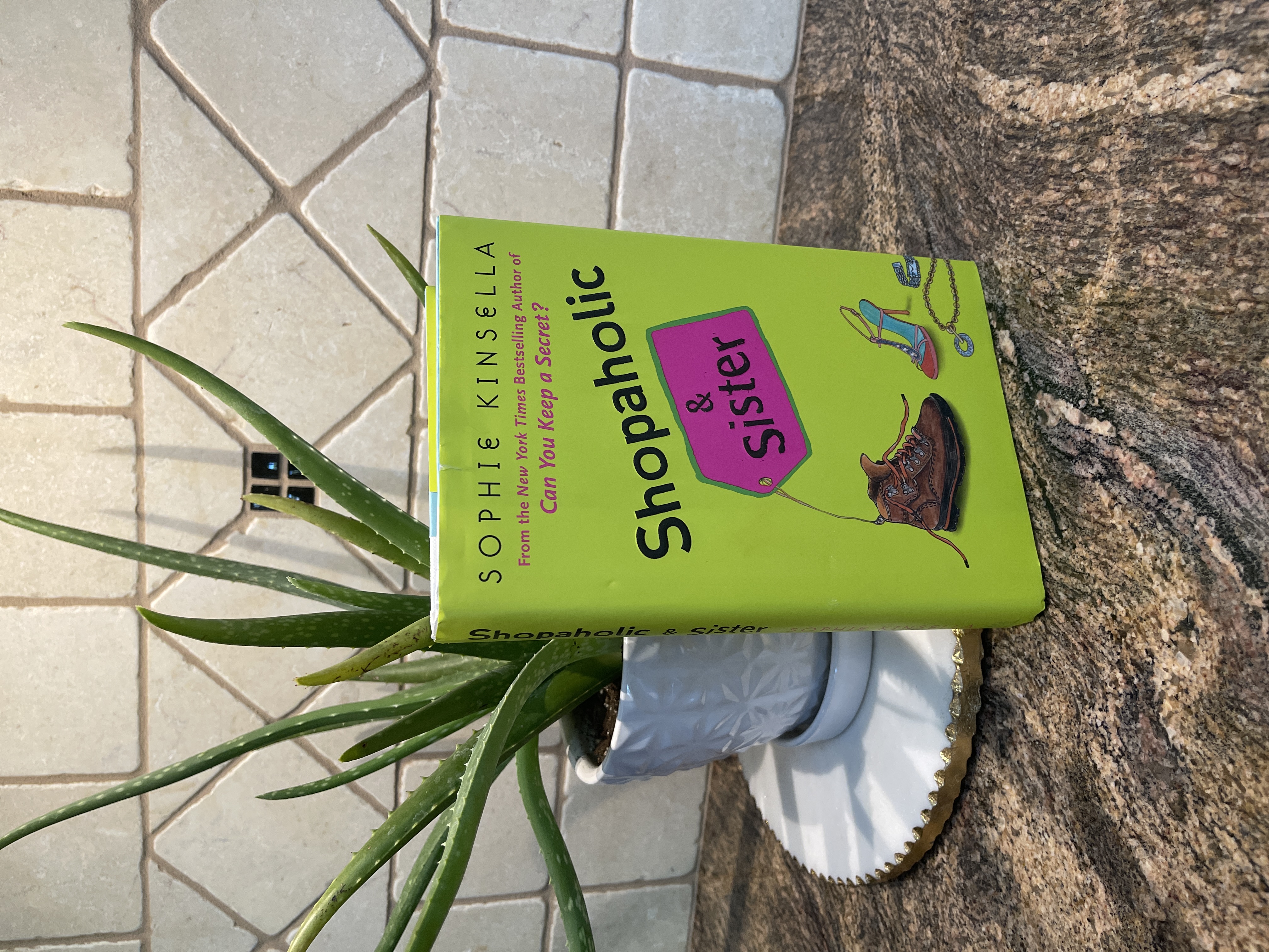 Shopaholic and Sister