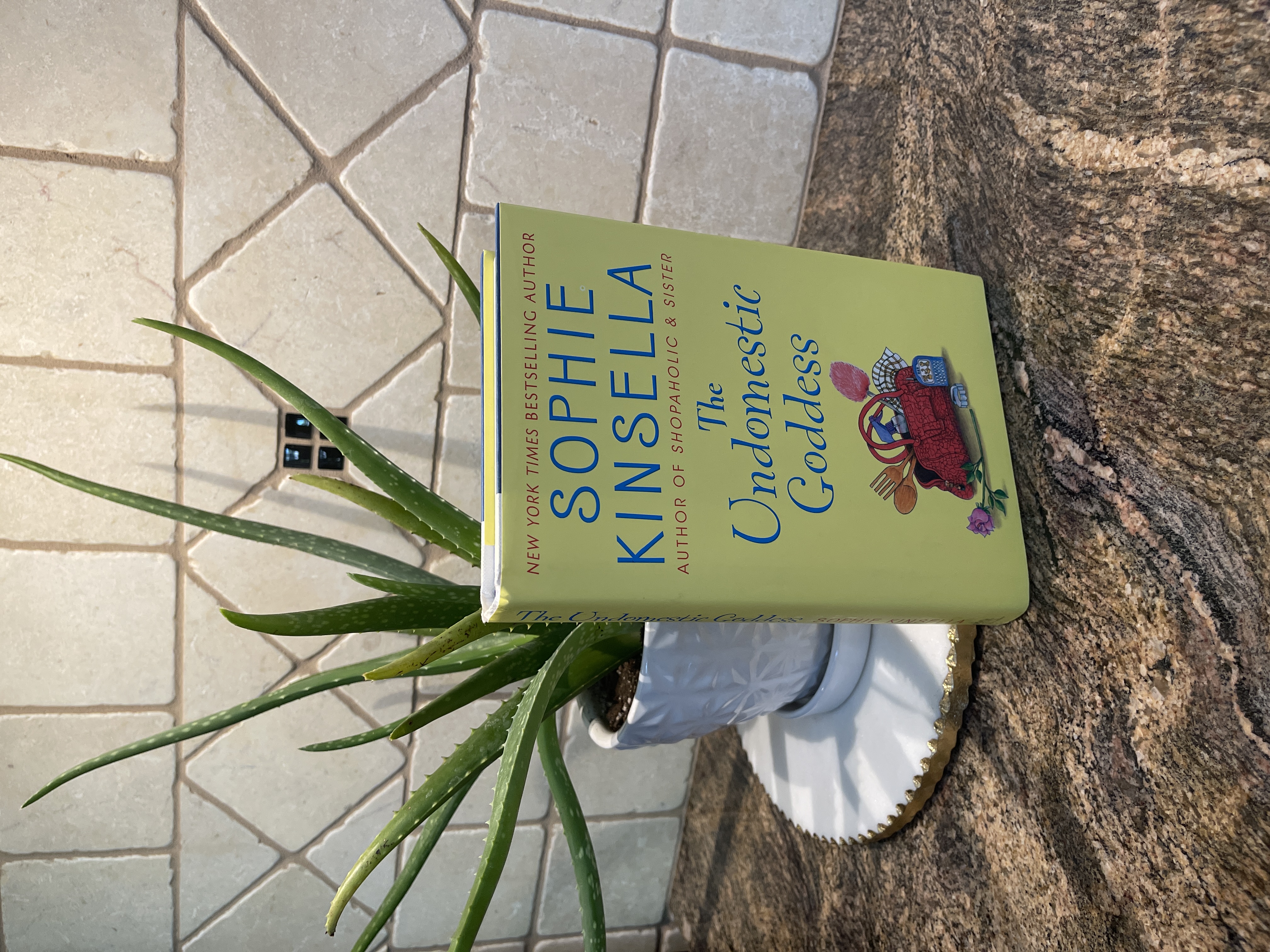 The Undomestic Goddess