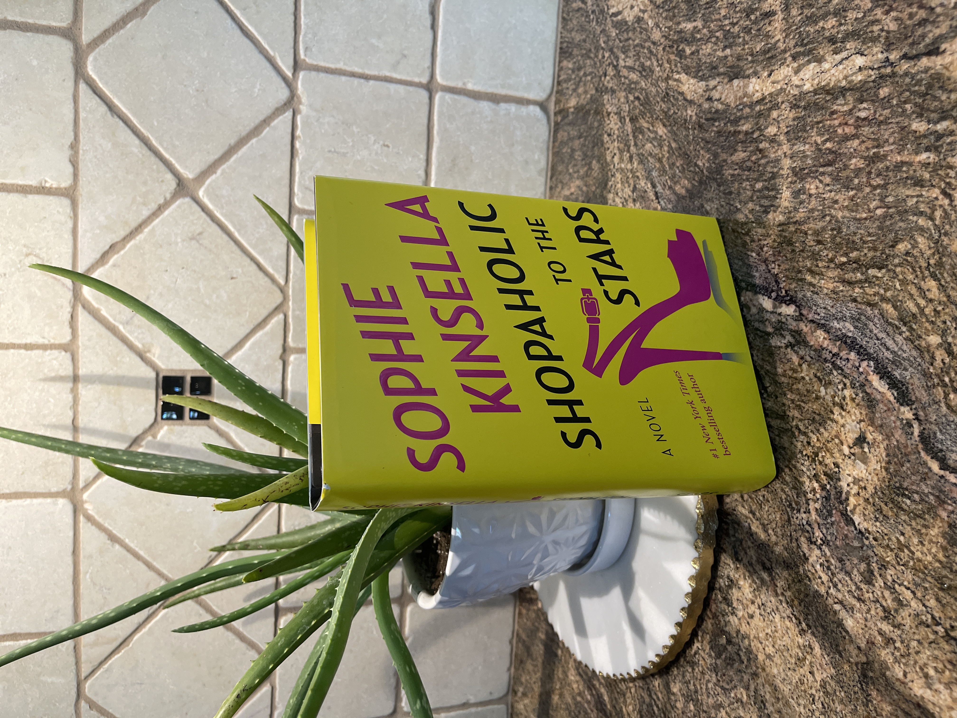 Shopaholic to the Stars