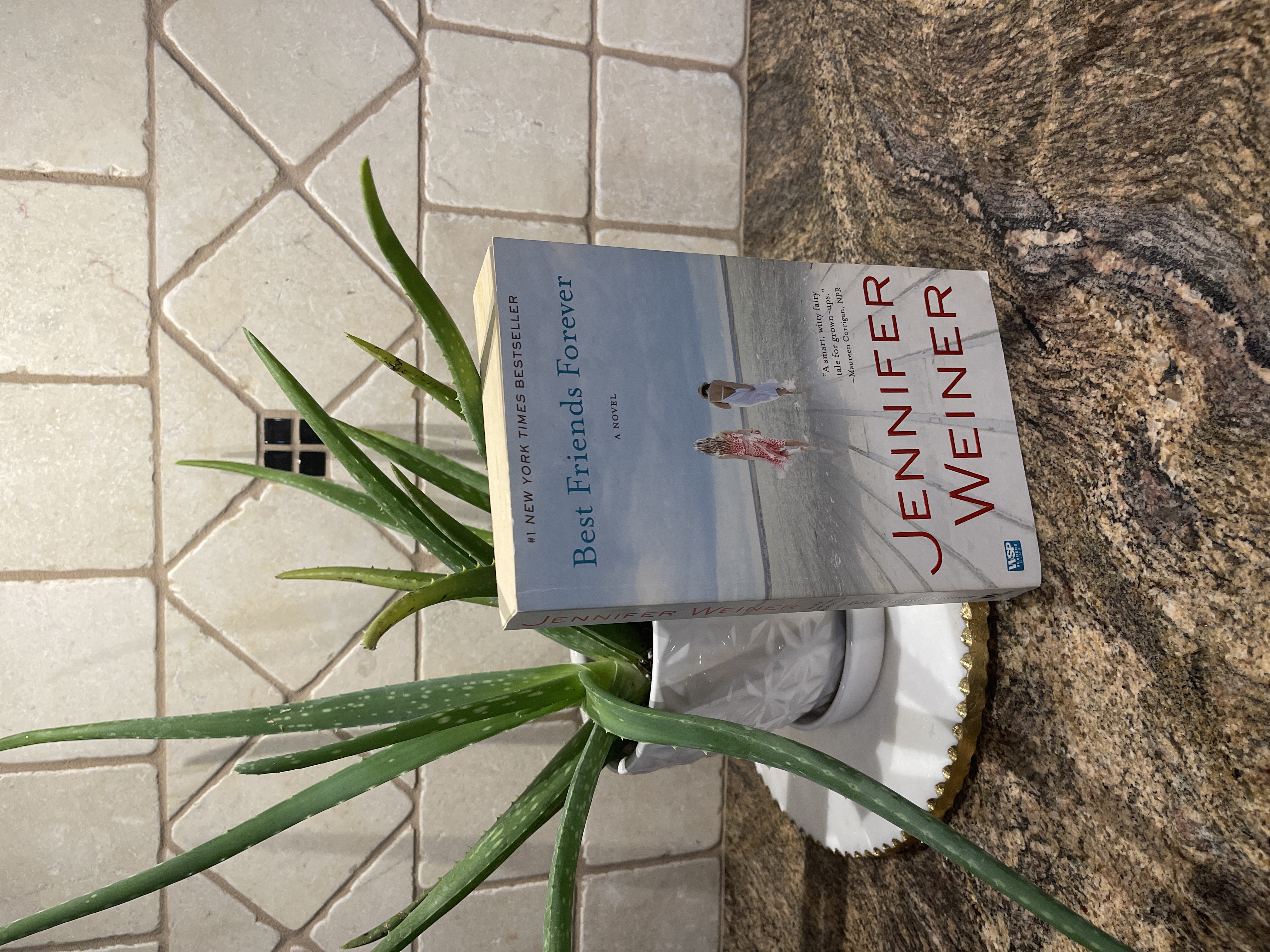 Best Friends Forever