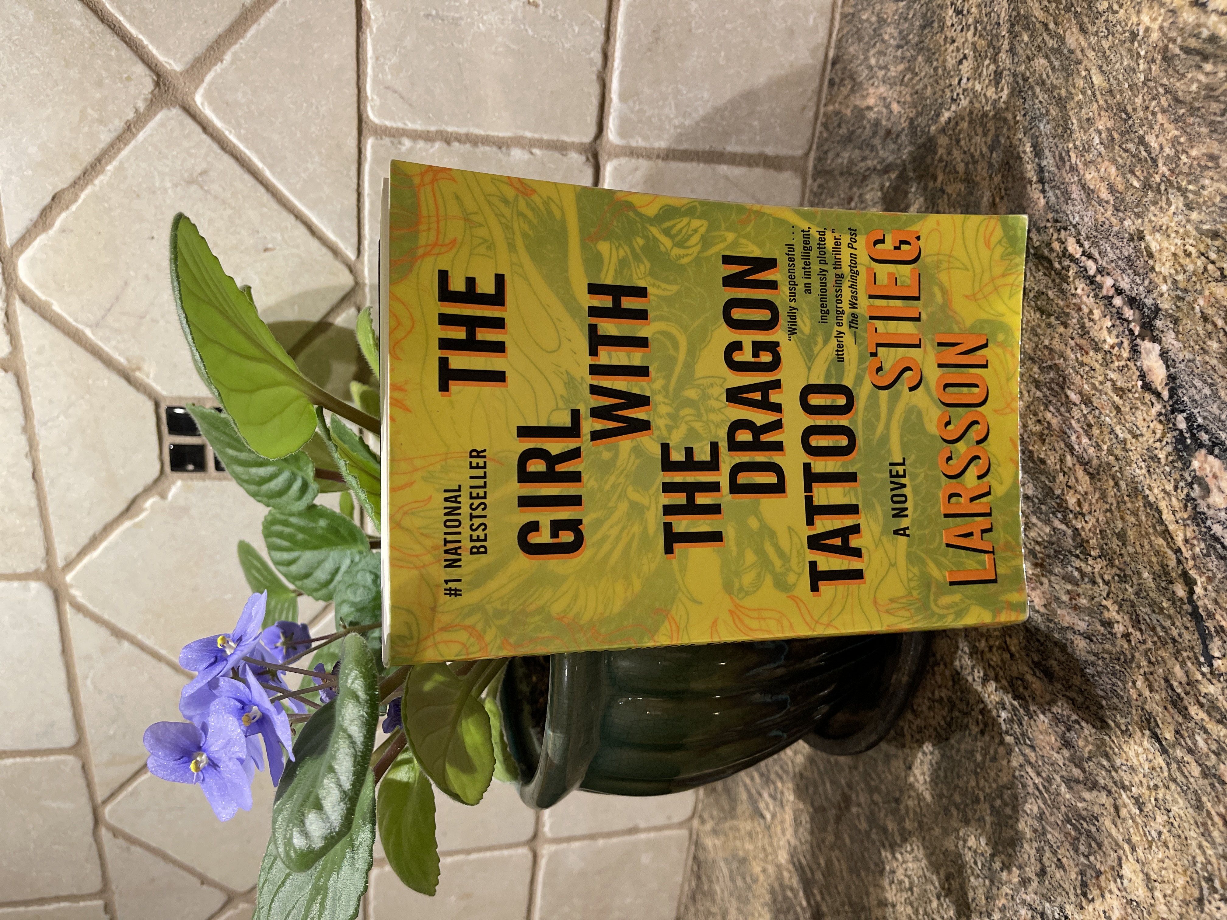 The Girl with the Dragon Tattoo