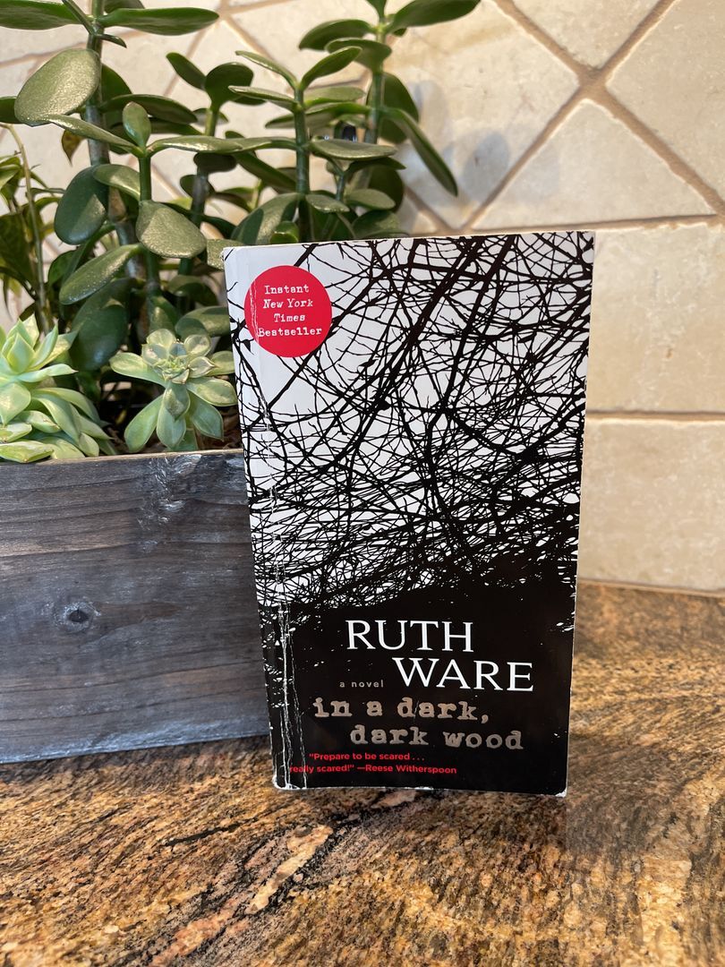 In a Dark, Dark Wood