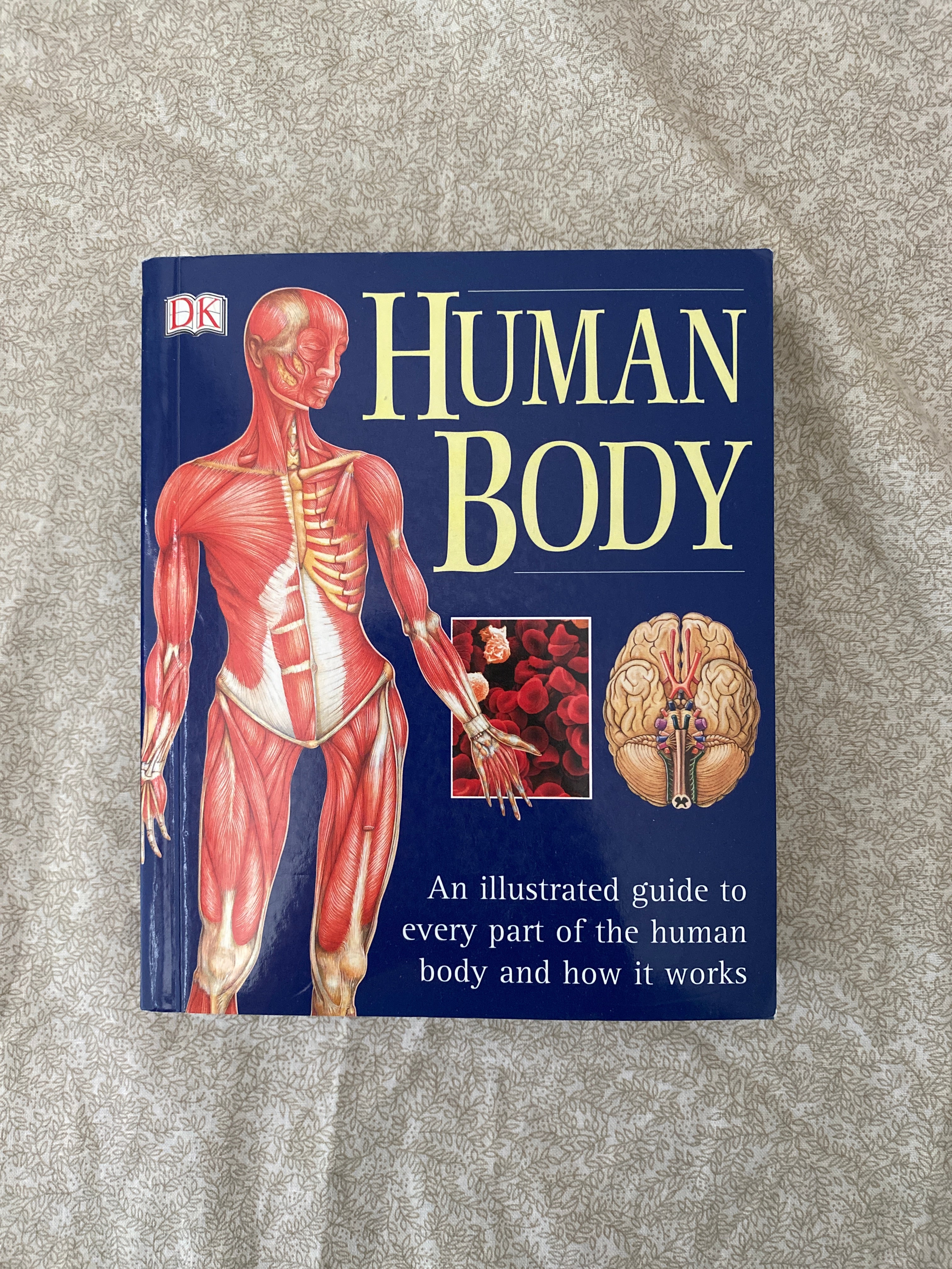 The Human Body