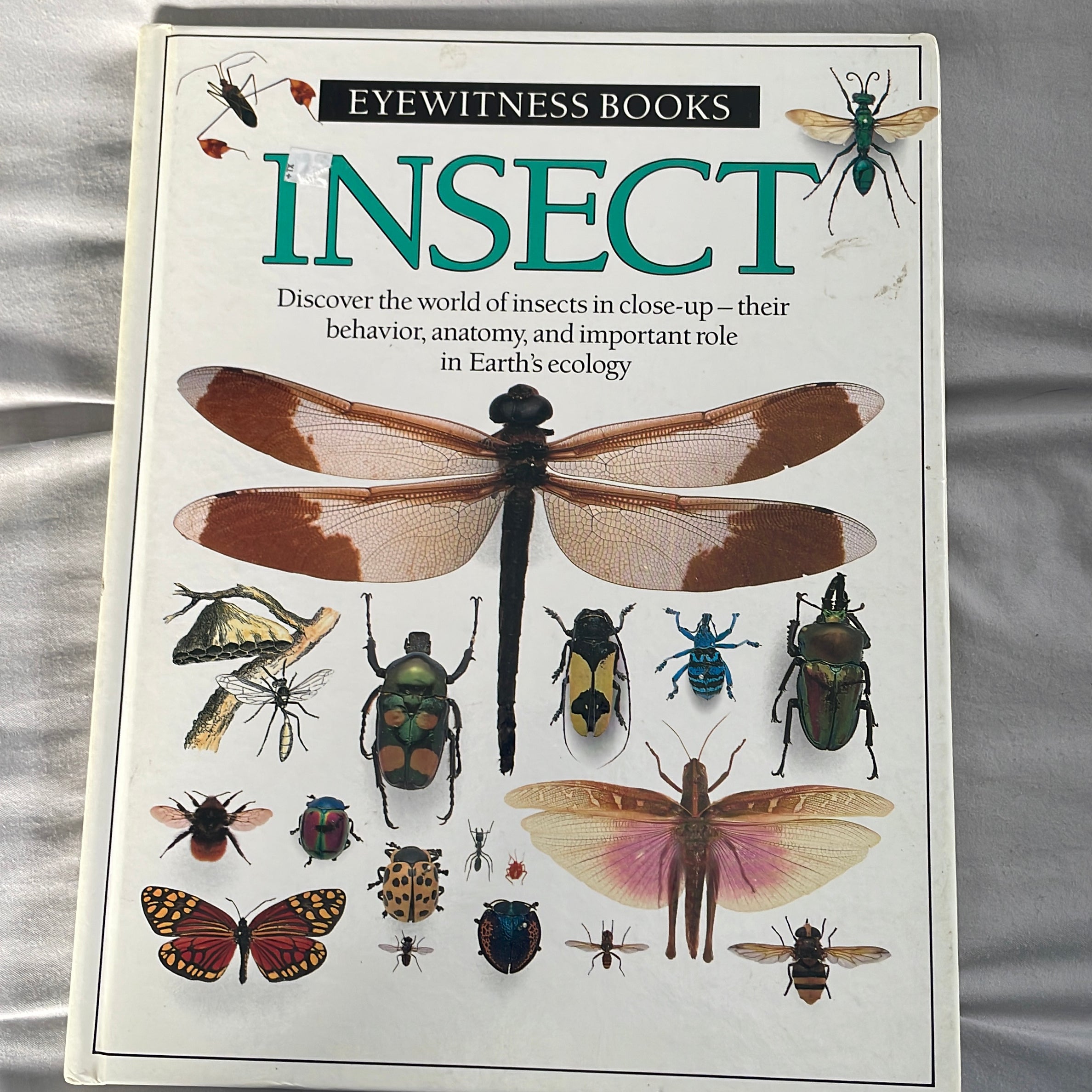 Insect