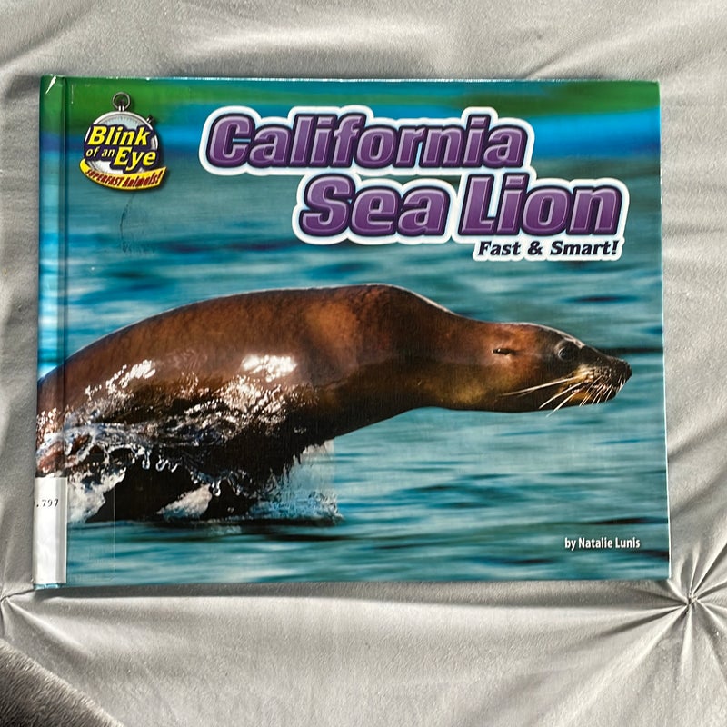 California Sea Lion