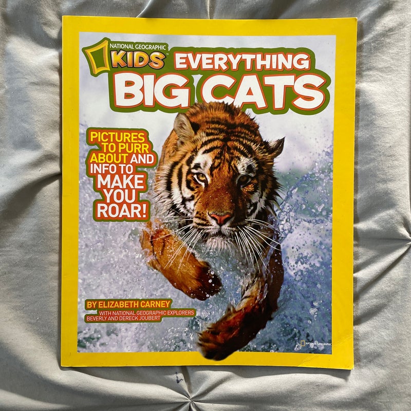 NGK Everything Big Cats (Special Sales Edition)