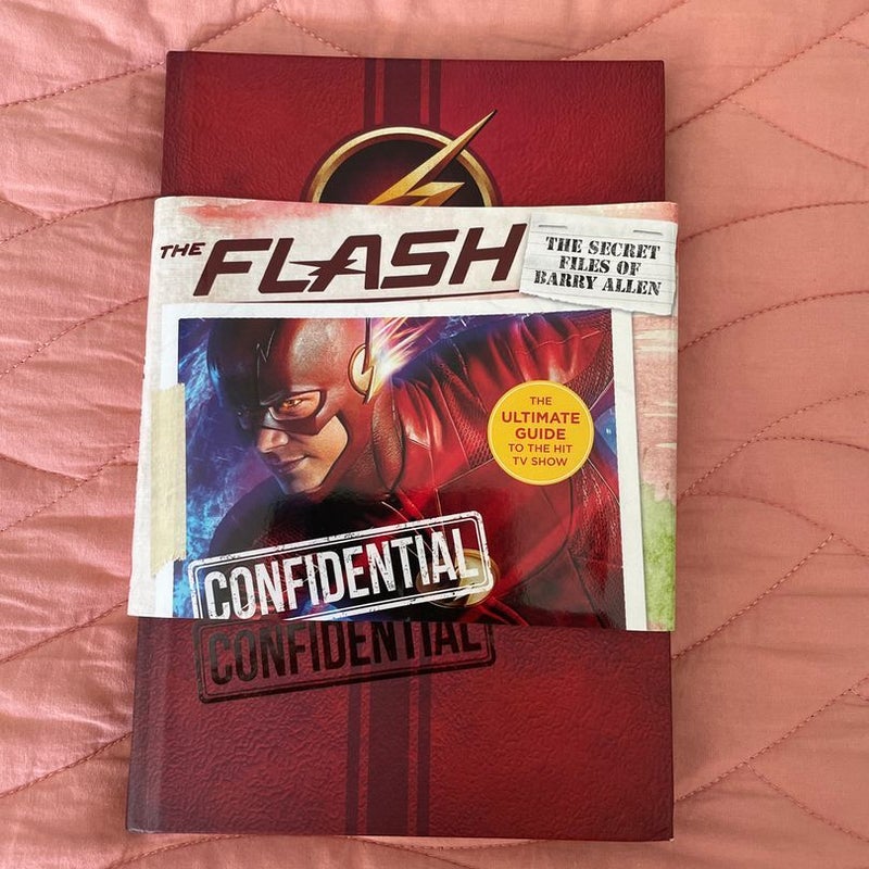Flash: Ultimate Guidebook