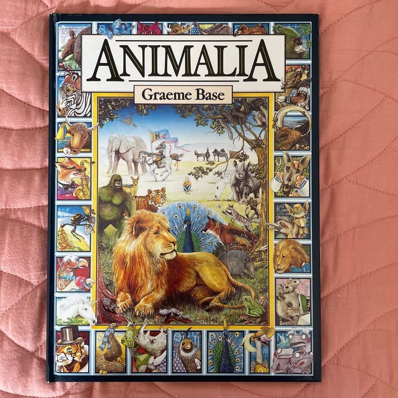 Animalia Midi
