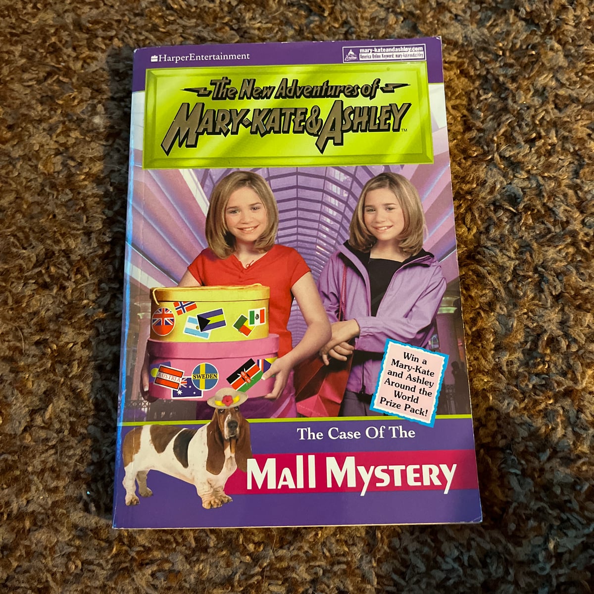 new-adventures-of-mary-kate-and-ashley-28-the-case-of-the-mall