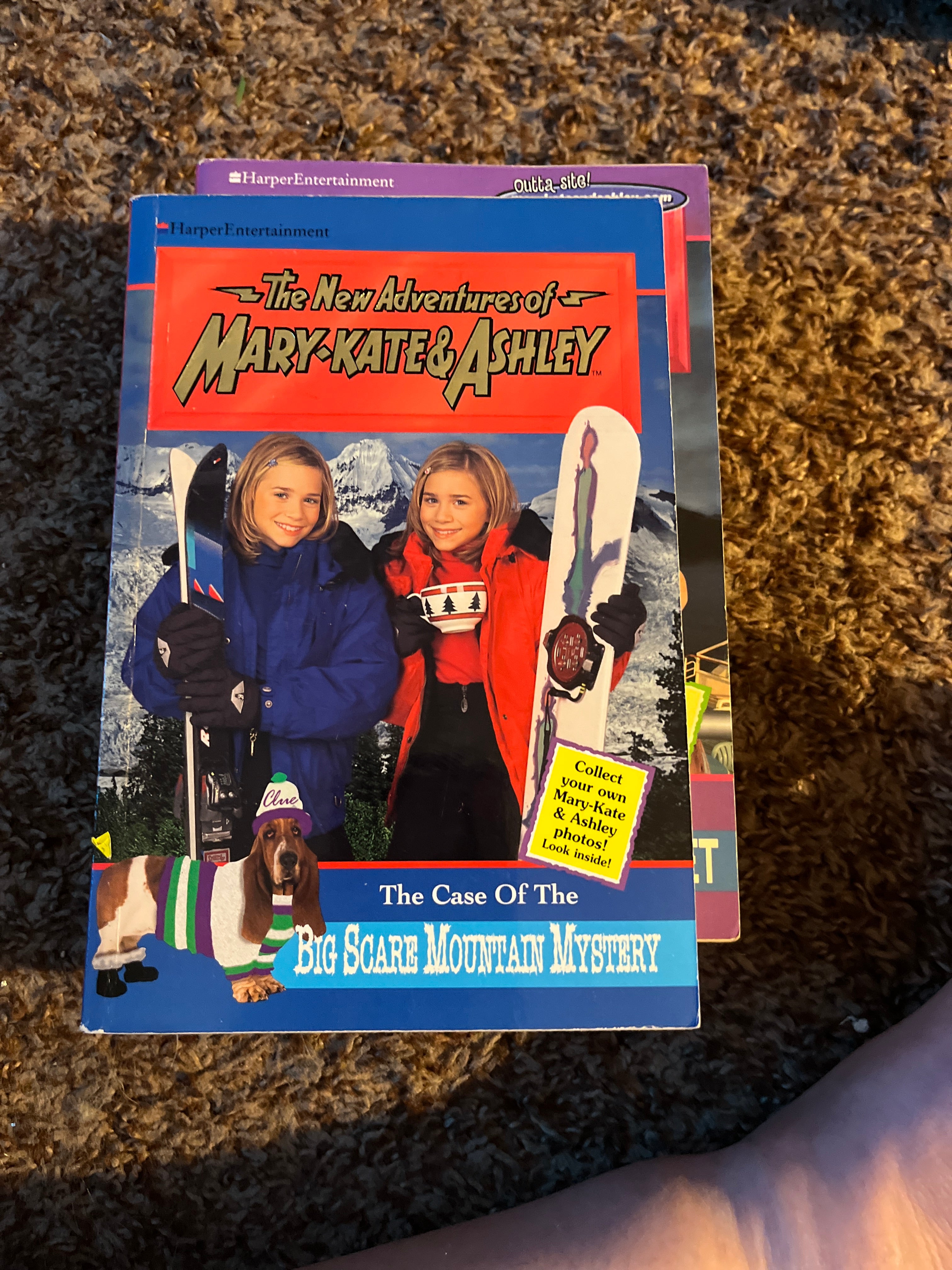 The Case of the Big Scare Mountain Mystery