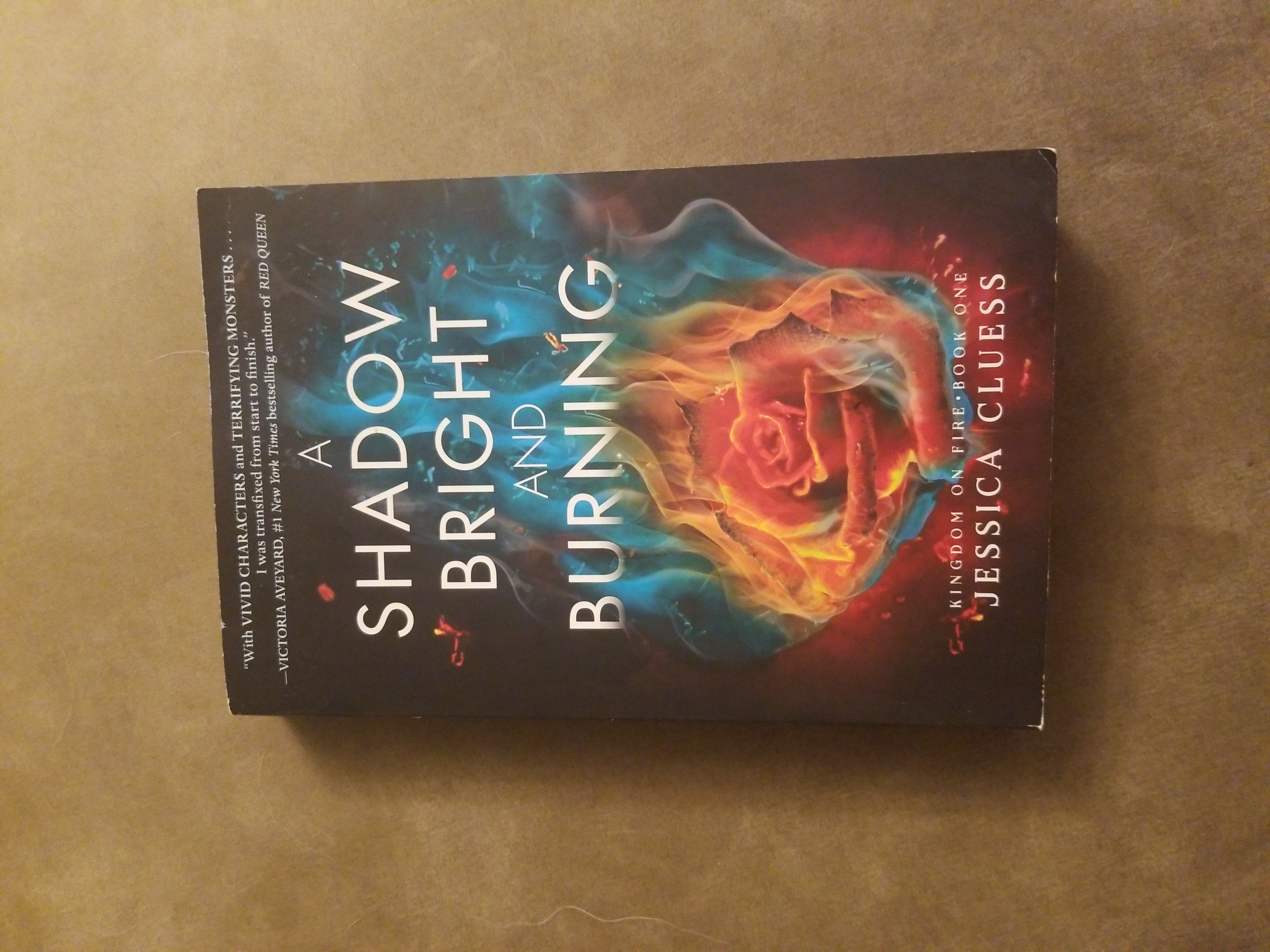A Shadow Bright and Burning (Kingdom on Fire, Book One)