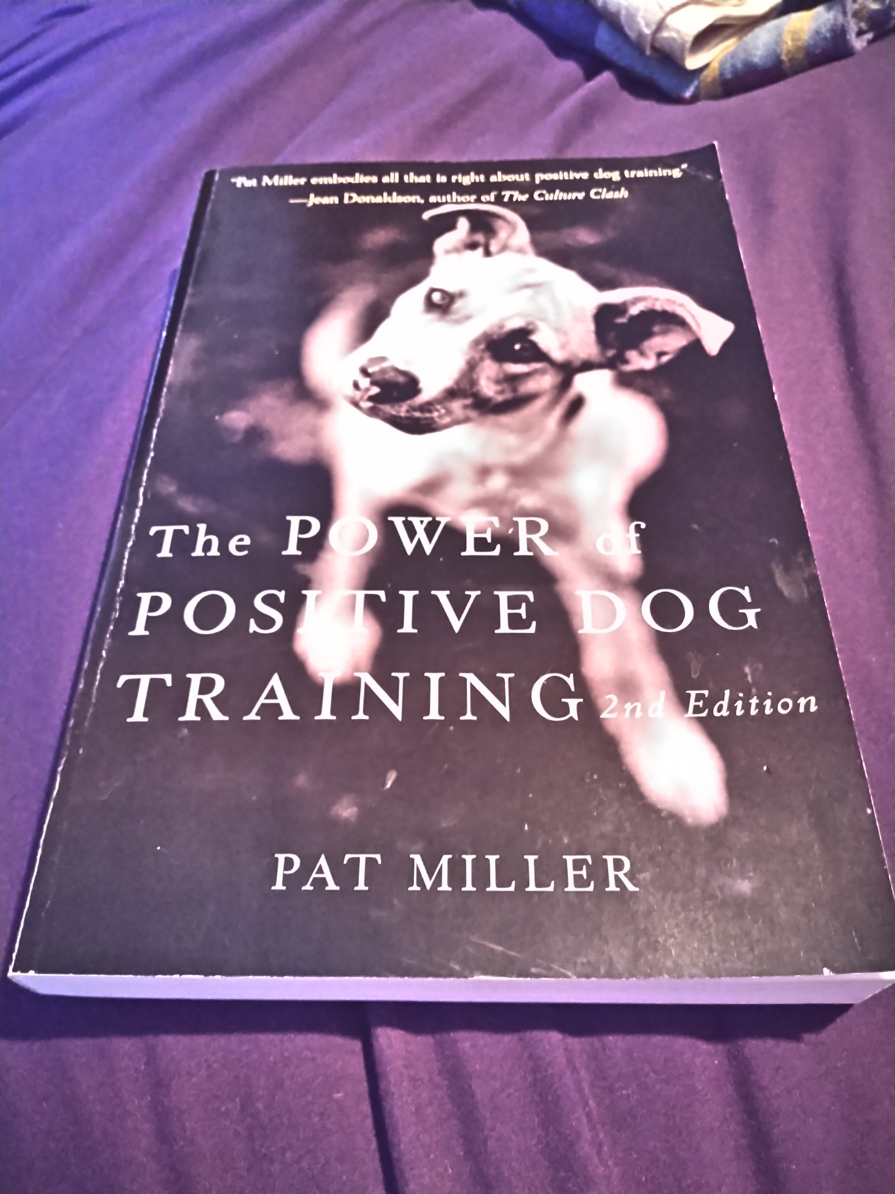 The Power of Positive Dog Training