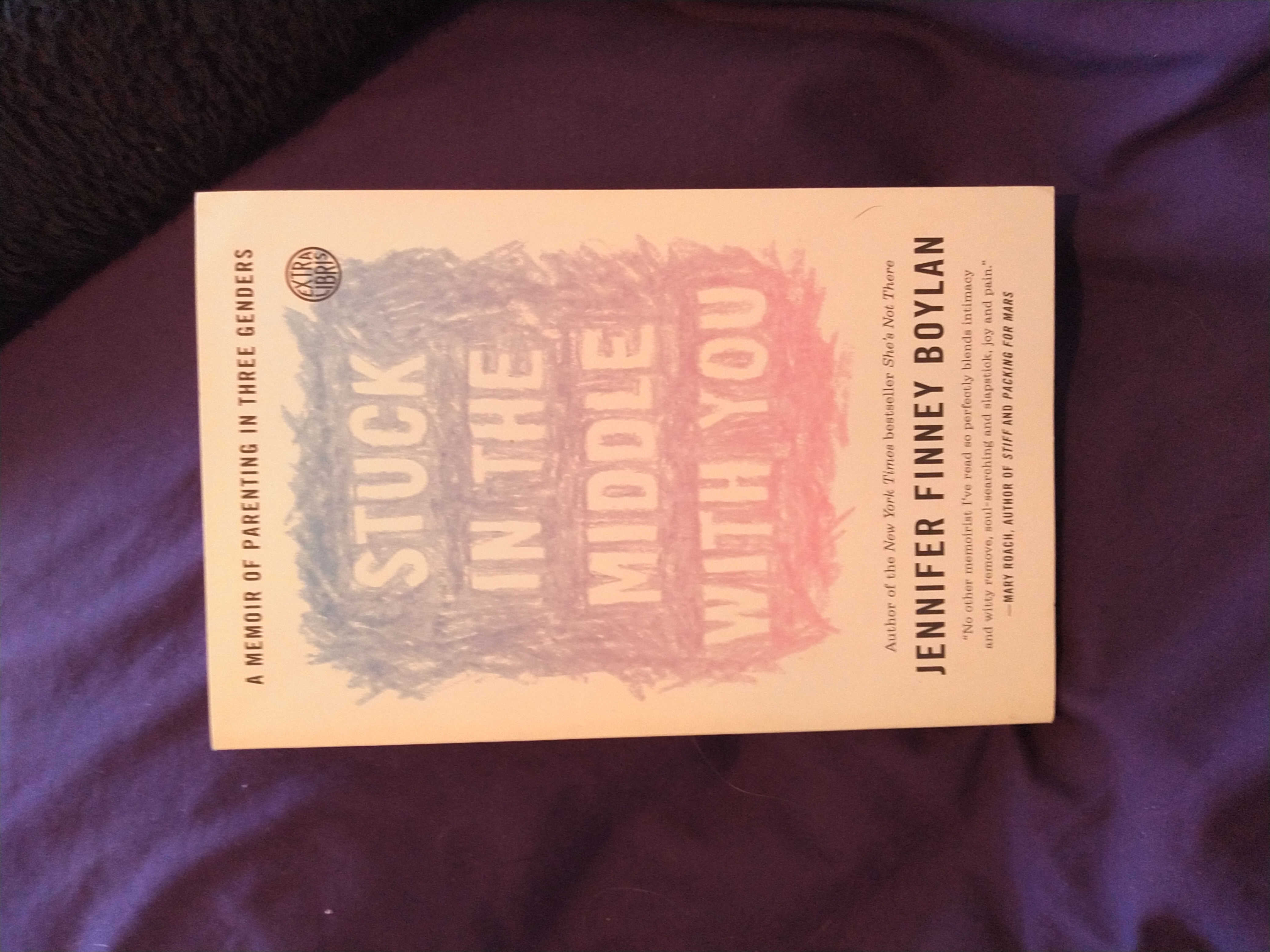 Stuck in the Middle with You