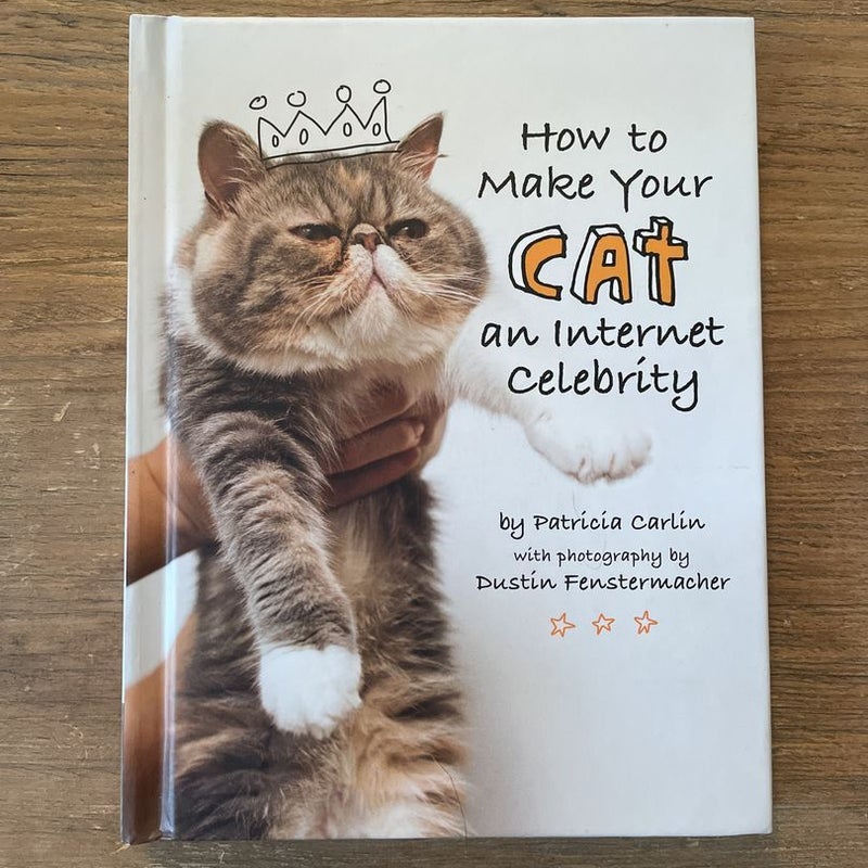 How to Make Your Cat an Internet Celebrity