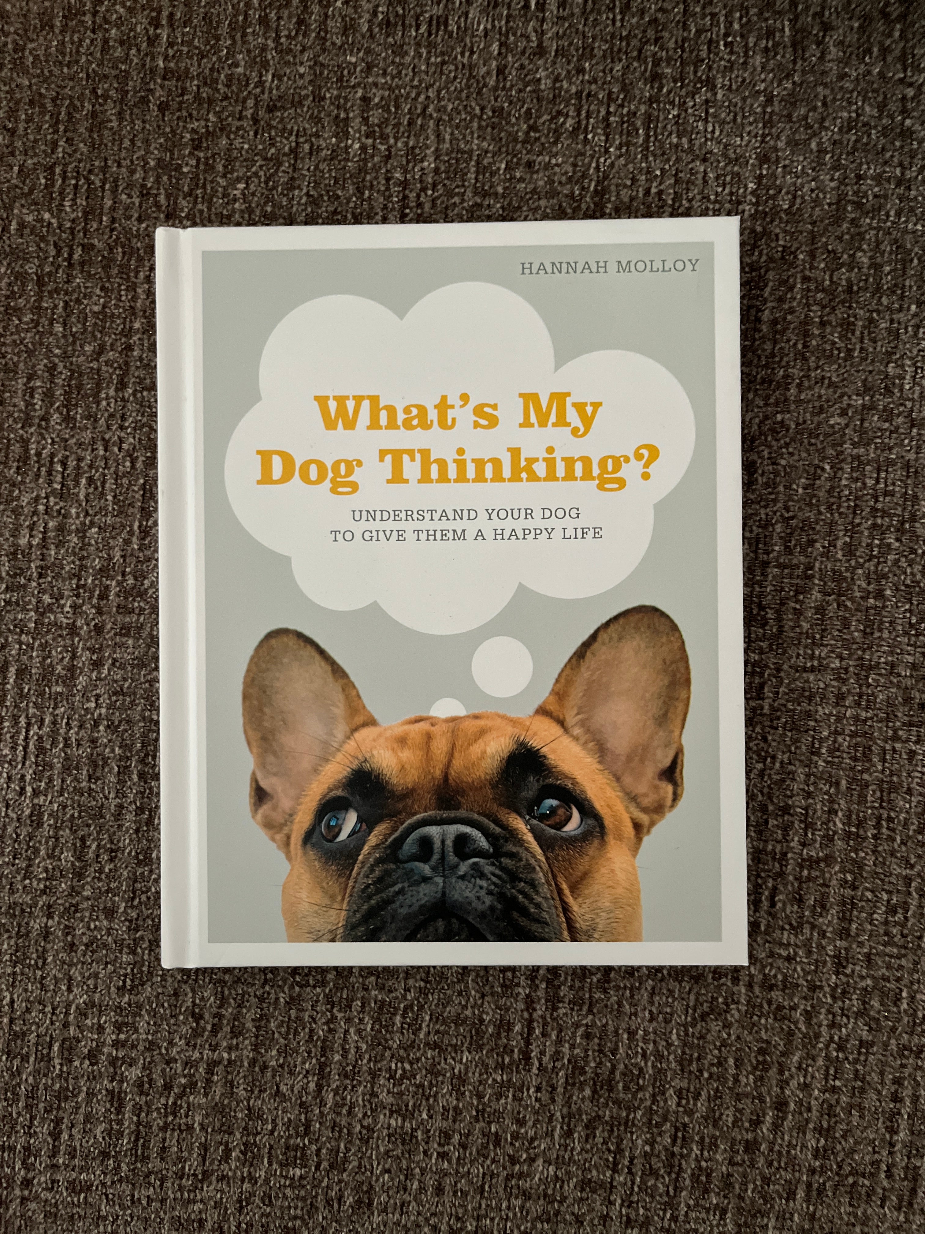 What's My Dog Thinking?