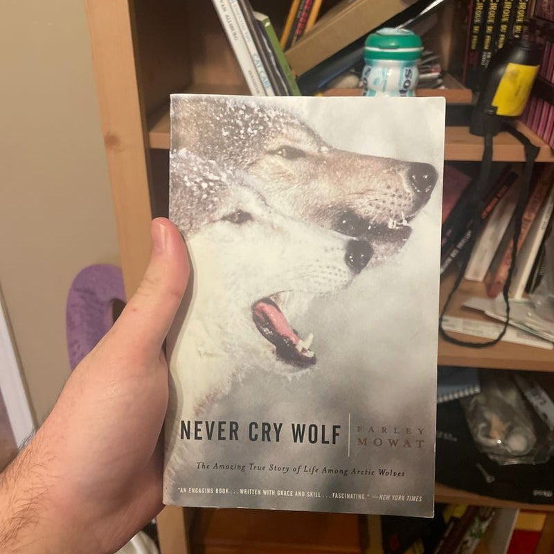 Never Cry Wolf