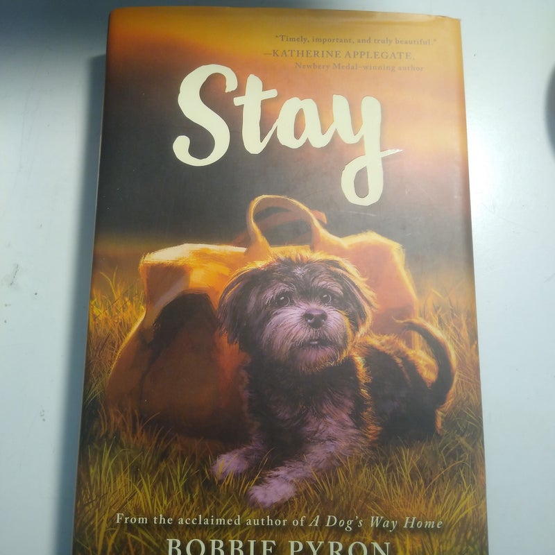Stay