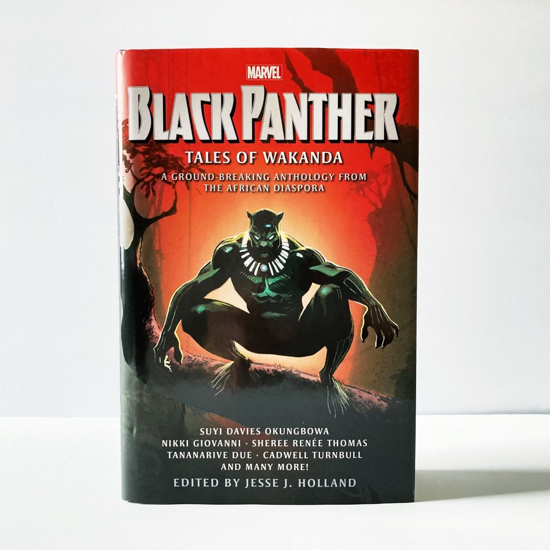 Black Panther Tales of Wakanda