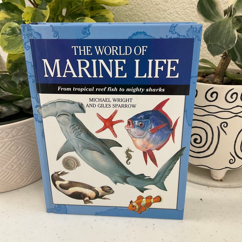 The World of Marine Life