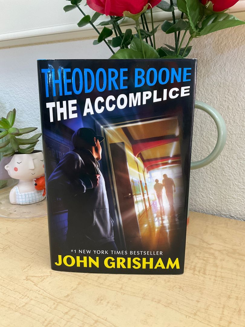 Theodore Boone: the Accomplice