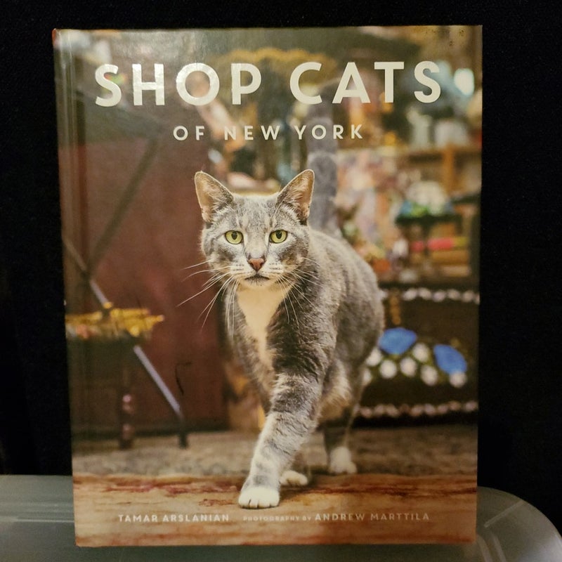 Shop Cats of New York