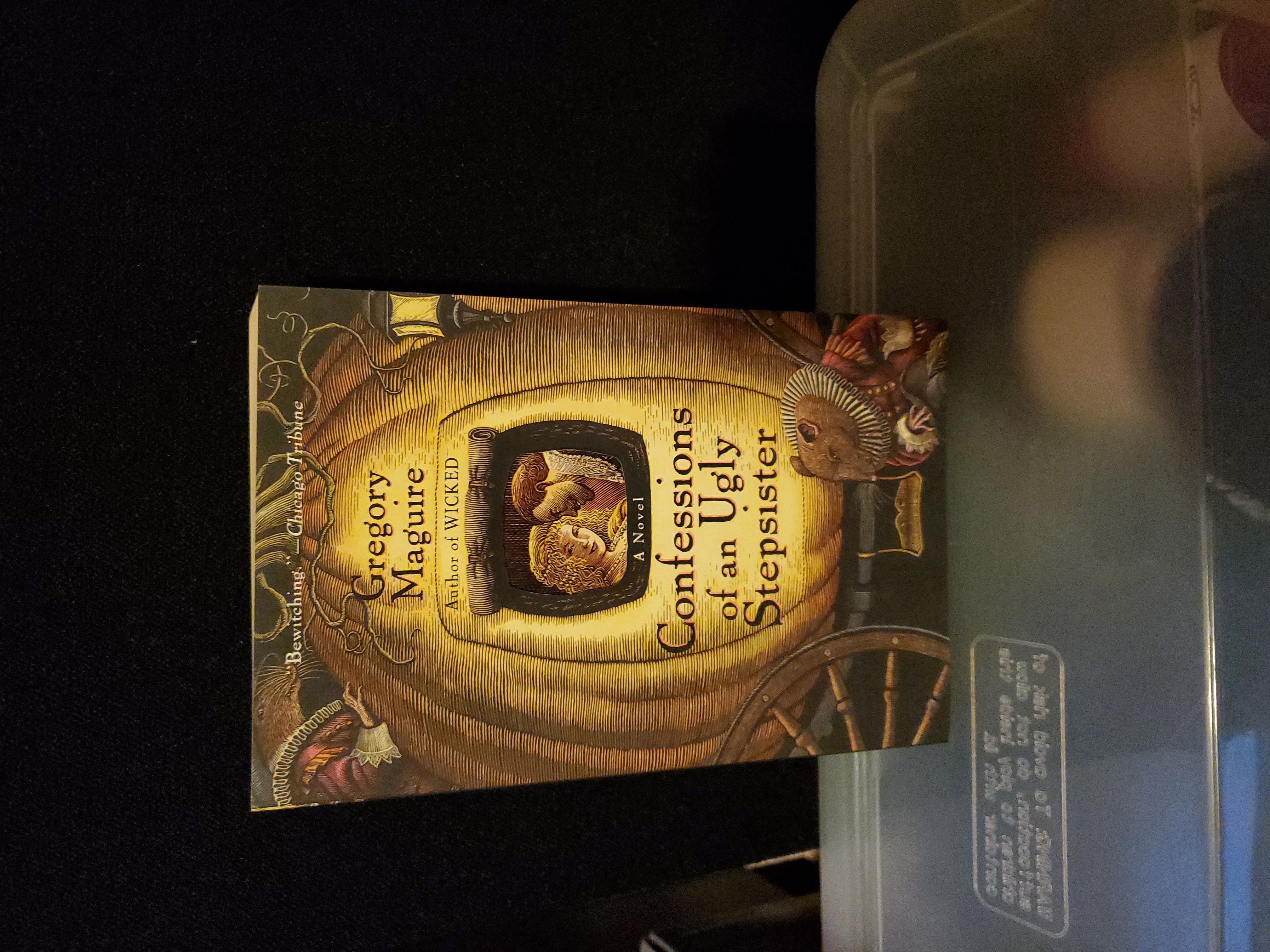 Confessions of an Ugly Stepsister